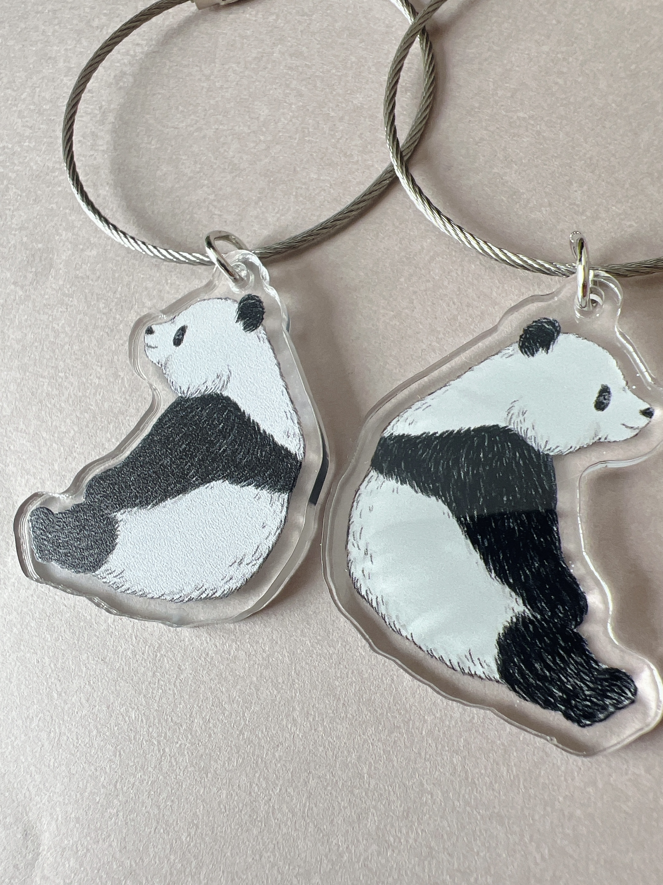 裏面は少しザラザラしたプリント、表面はピカピカ