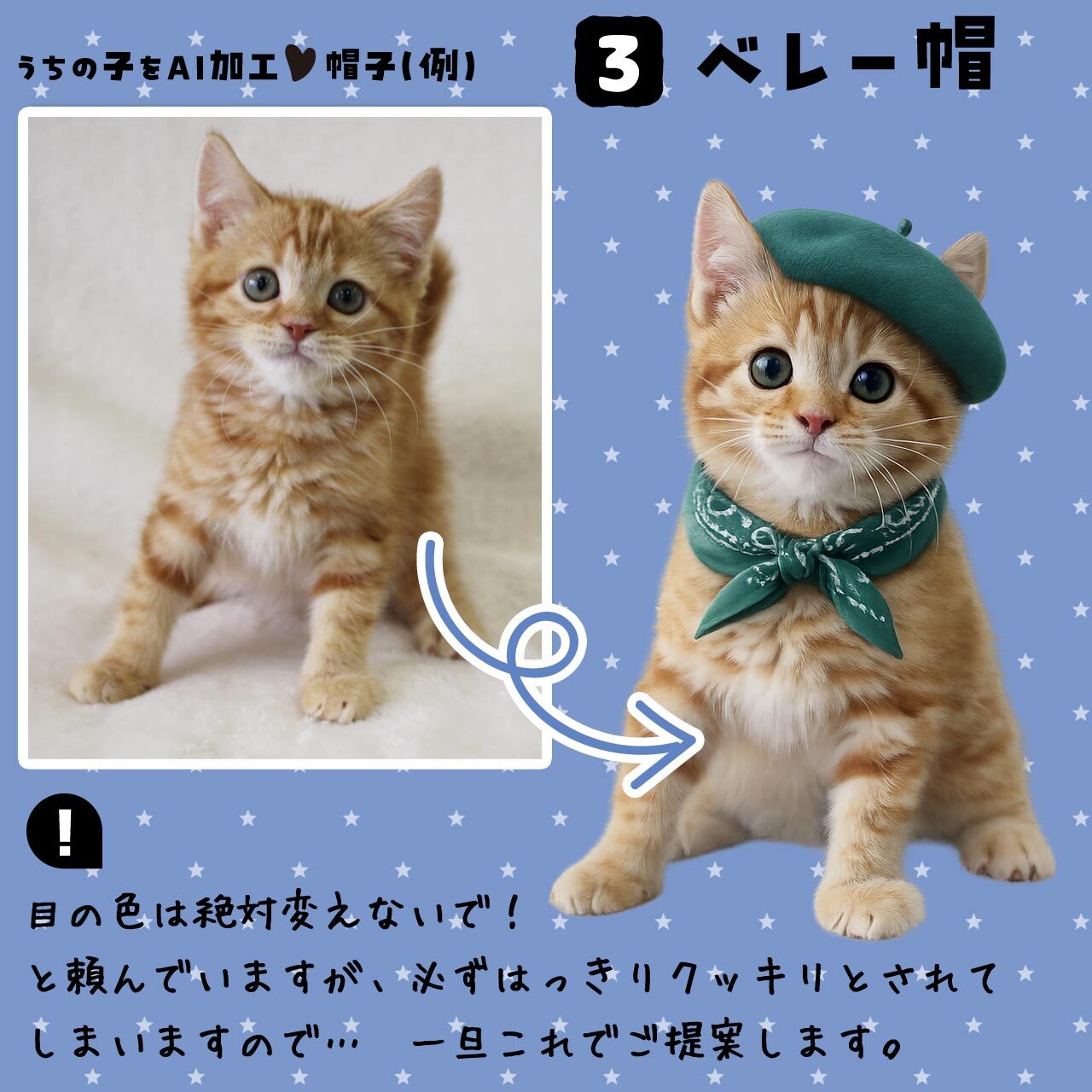 猫さんにベレー帽♡