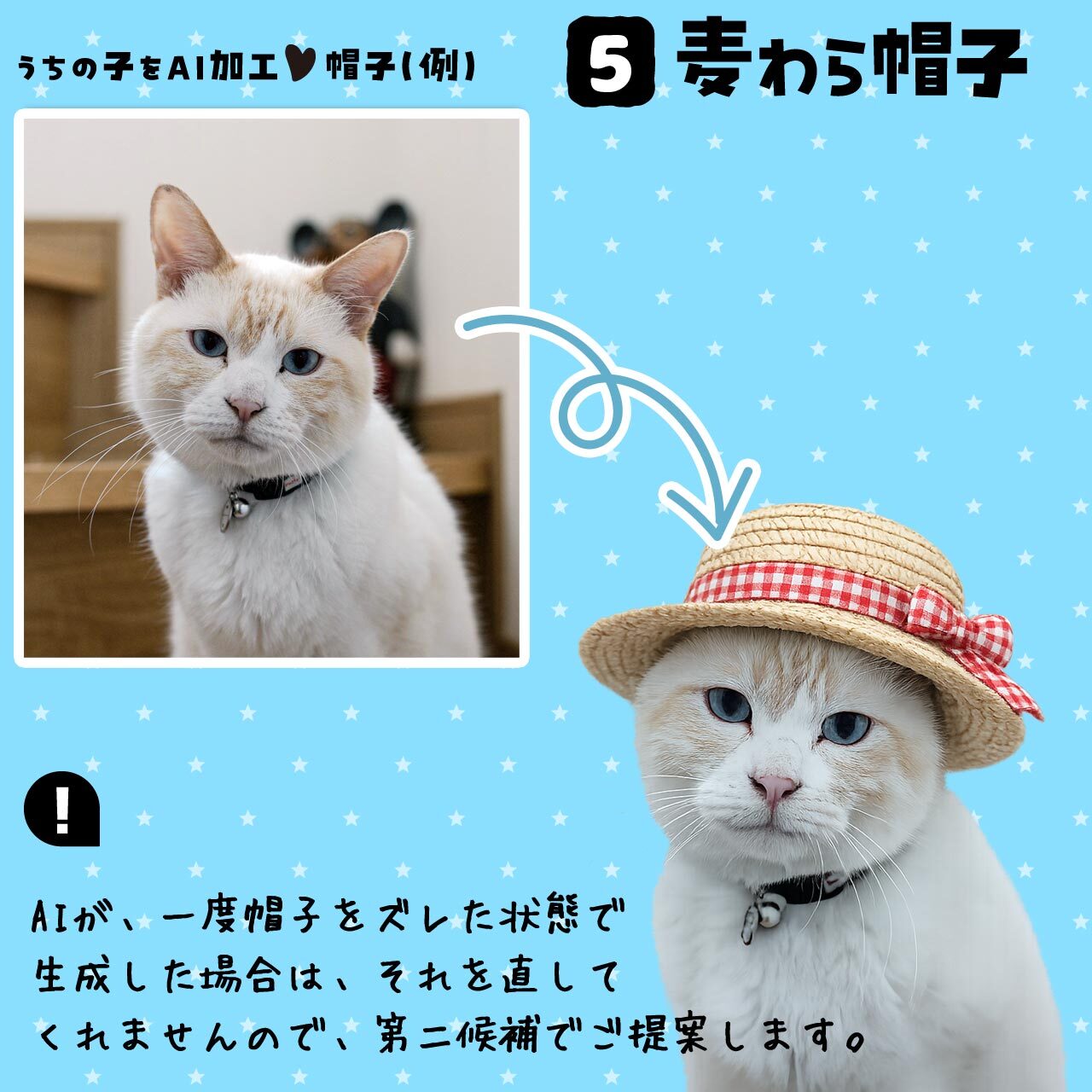 愛猫さんに麦わら帽子