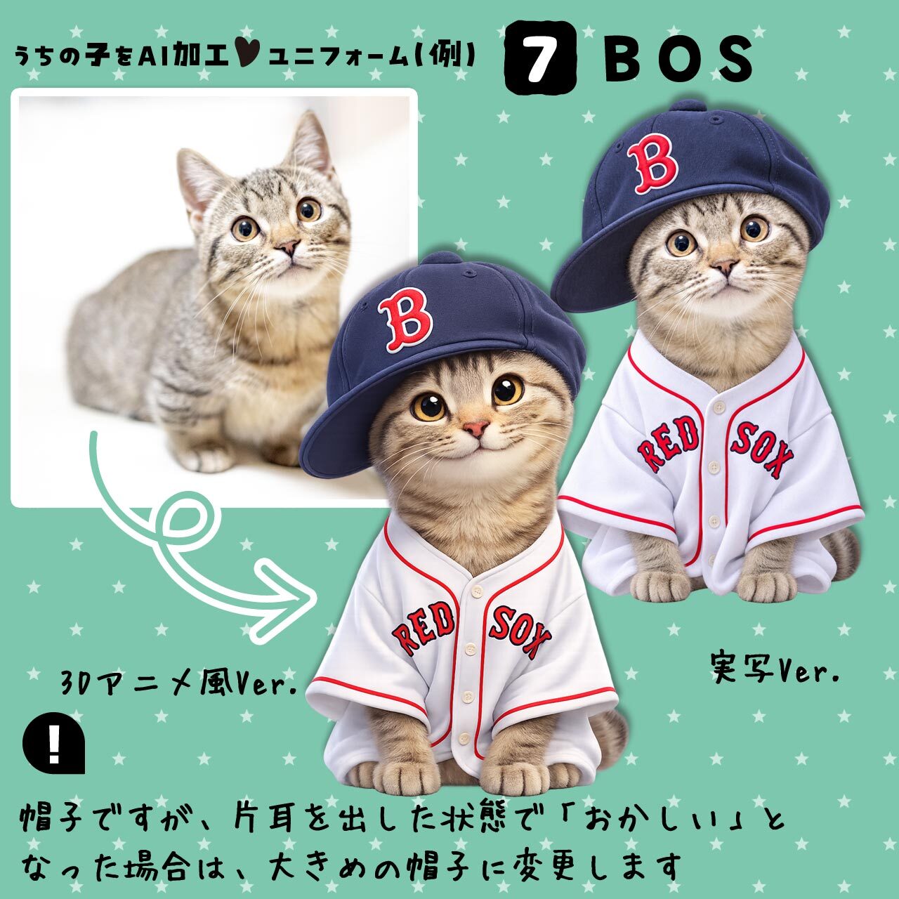 レッドソックスファンの猫さん