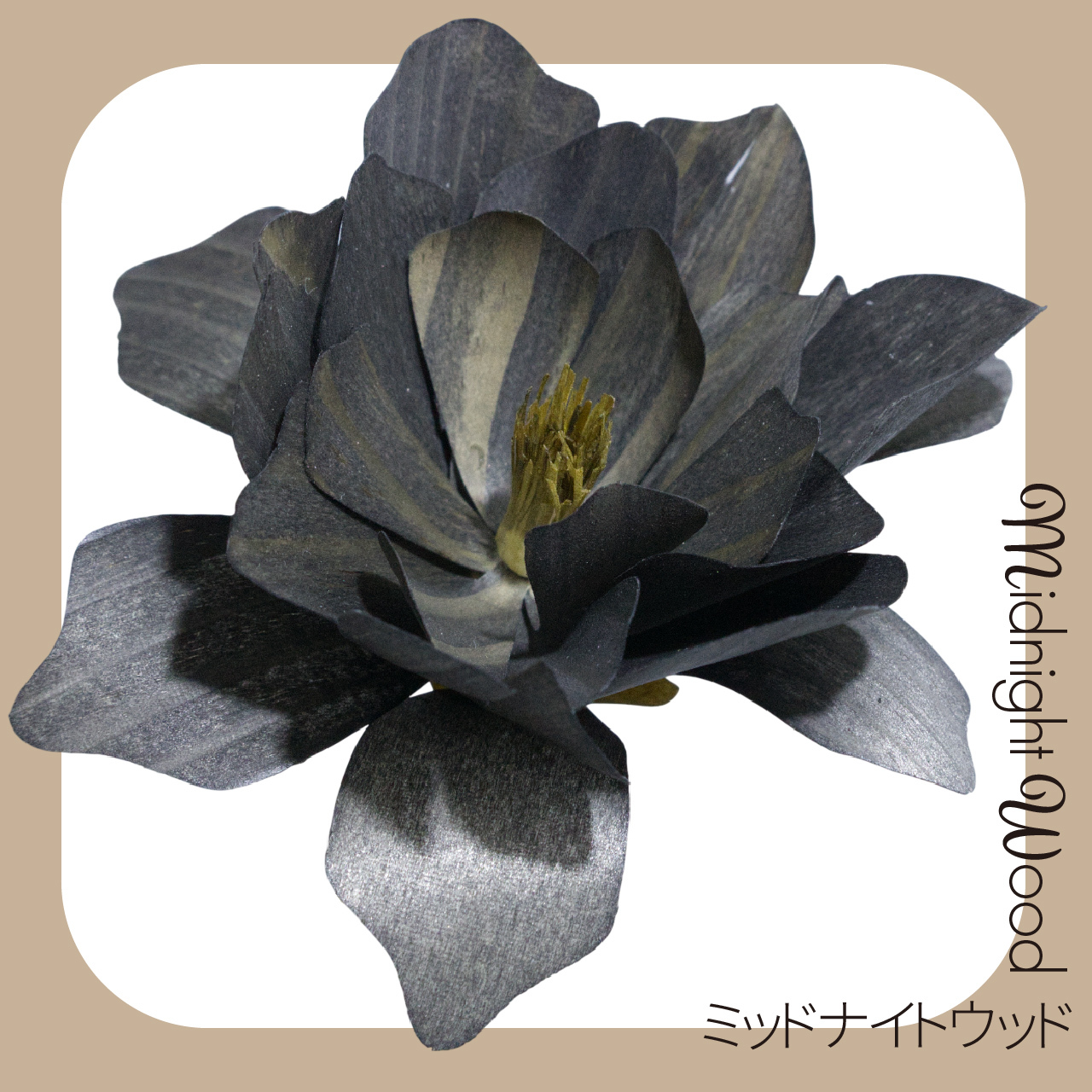 真夜中の森を思わせる黒。木の質感が透ける墨色で、モダンや和の空間に洗練された空気をもたらします。