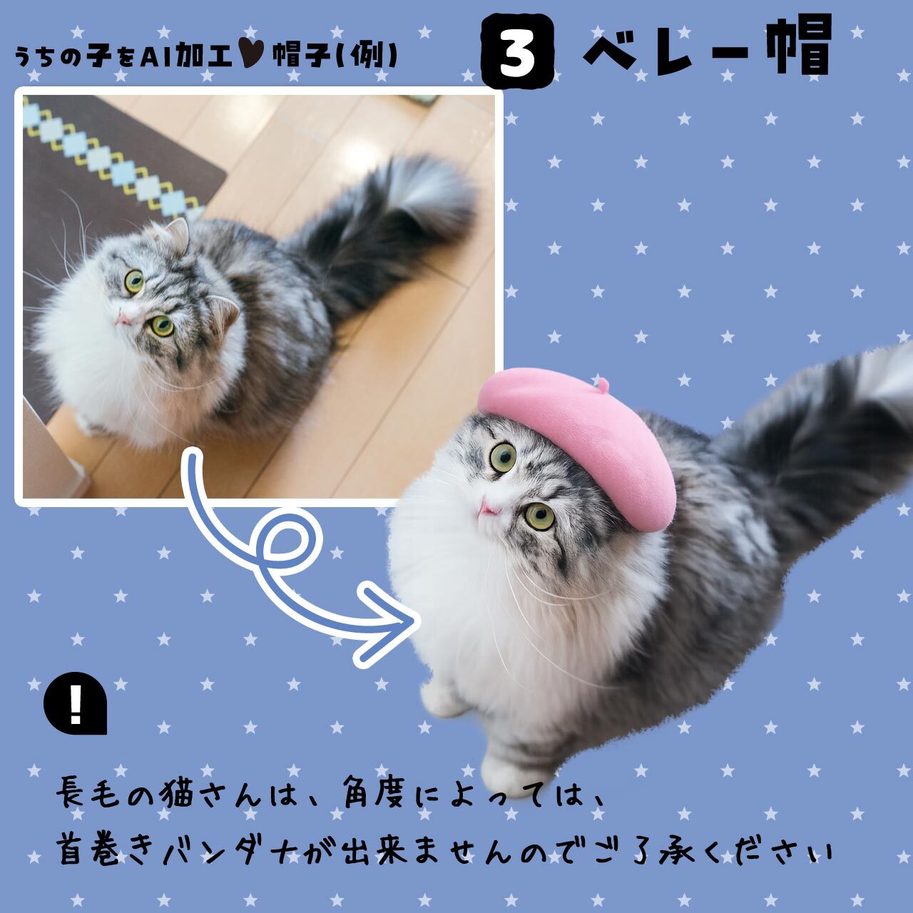 愛猫さんにベレー帽♡