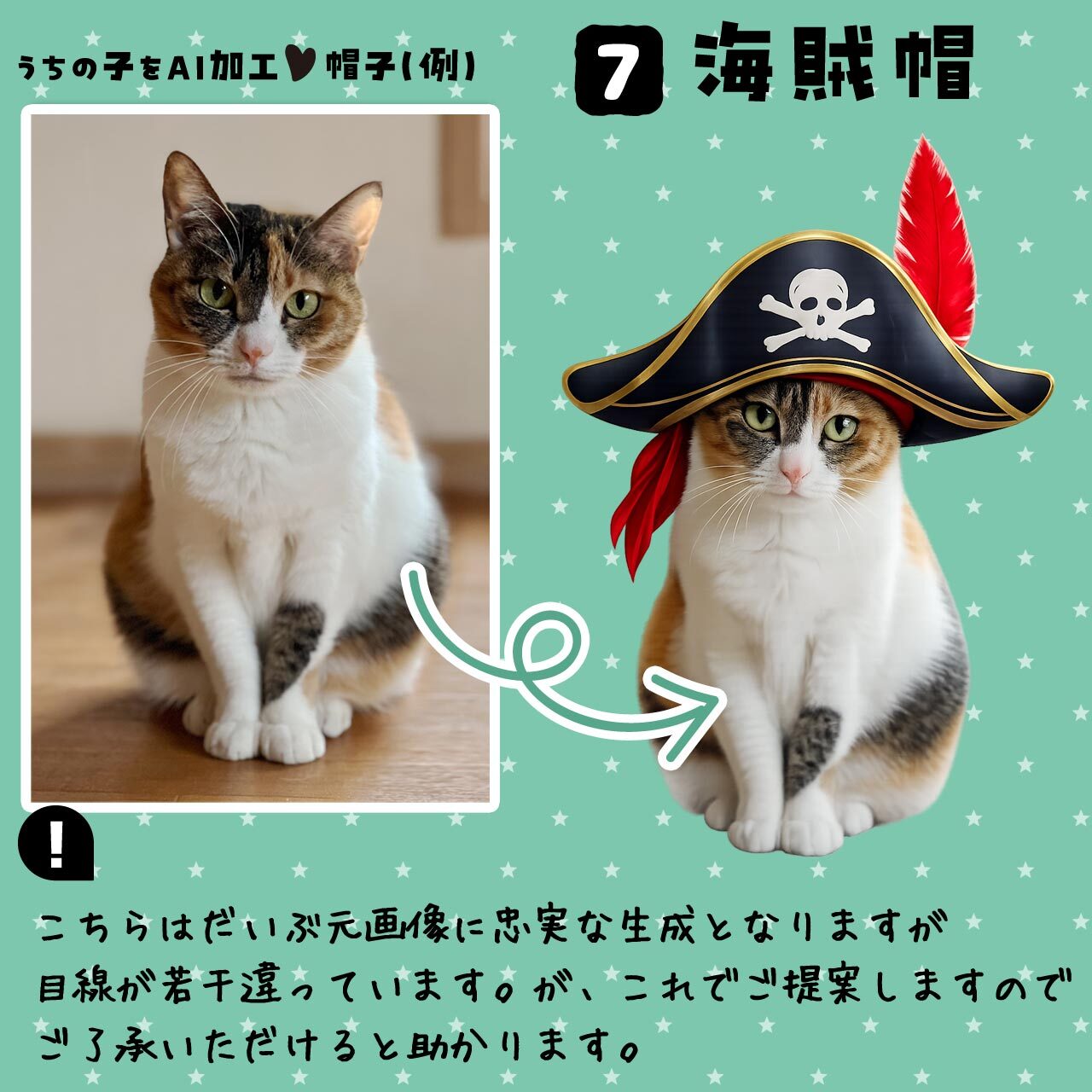 海賊の帽子★猫さん