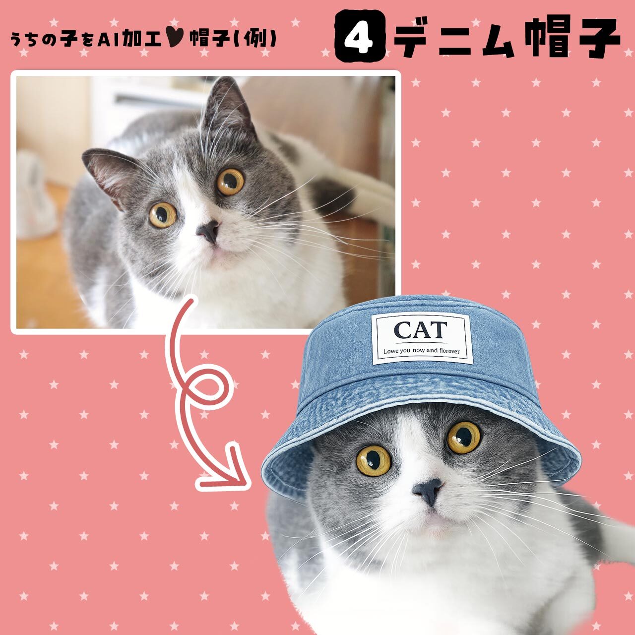 愛猫さんにデニムの帽子を