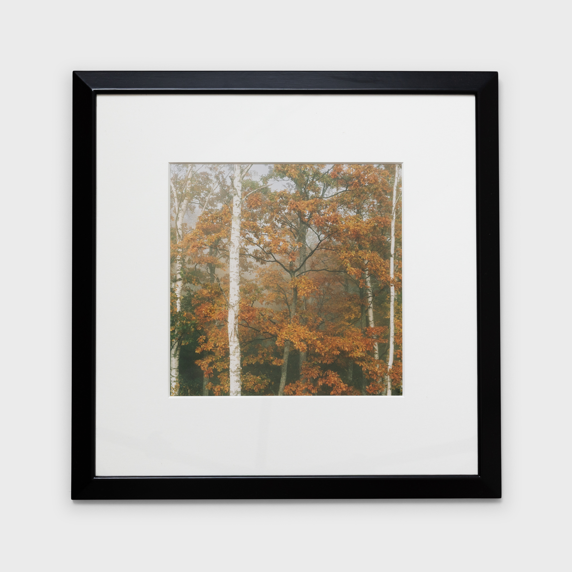 9　薄靄に包まれて　1985年10月上旬　上富良野町