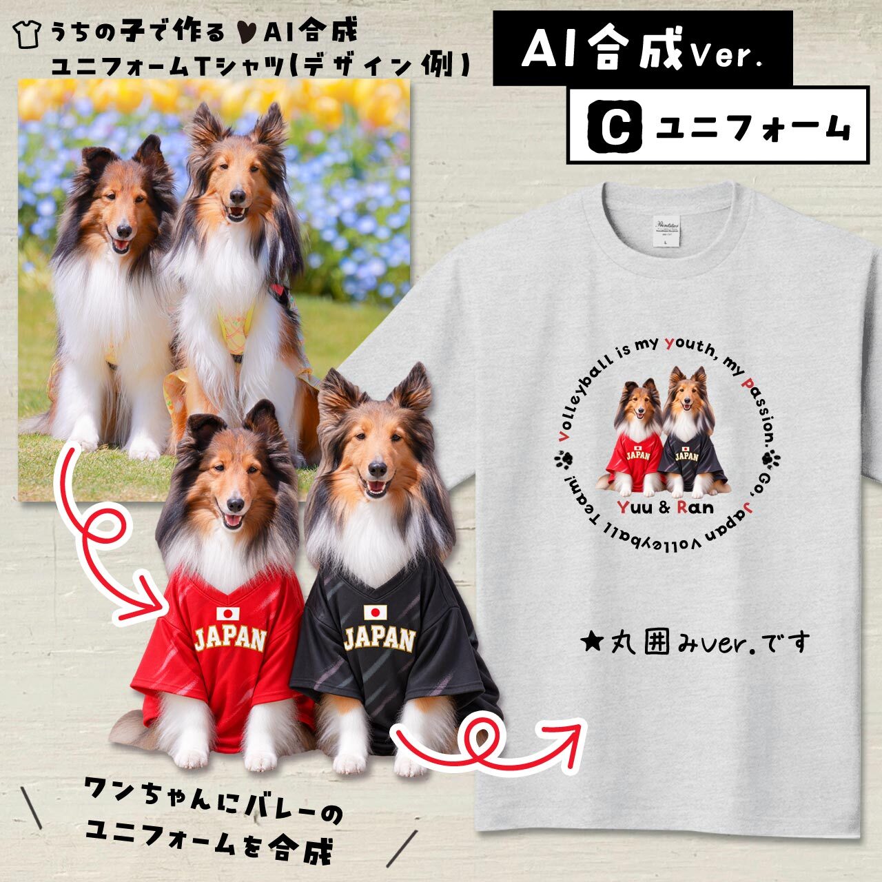 バレーファンのワンちゃん