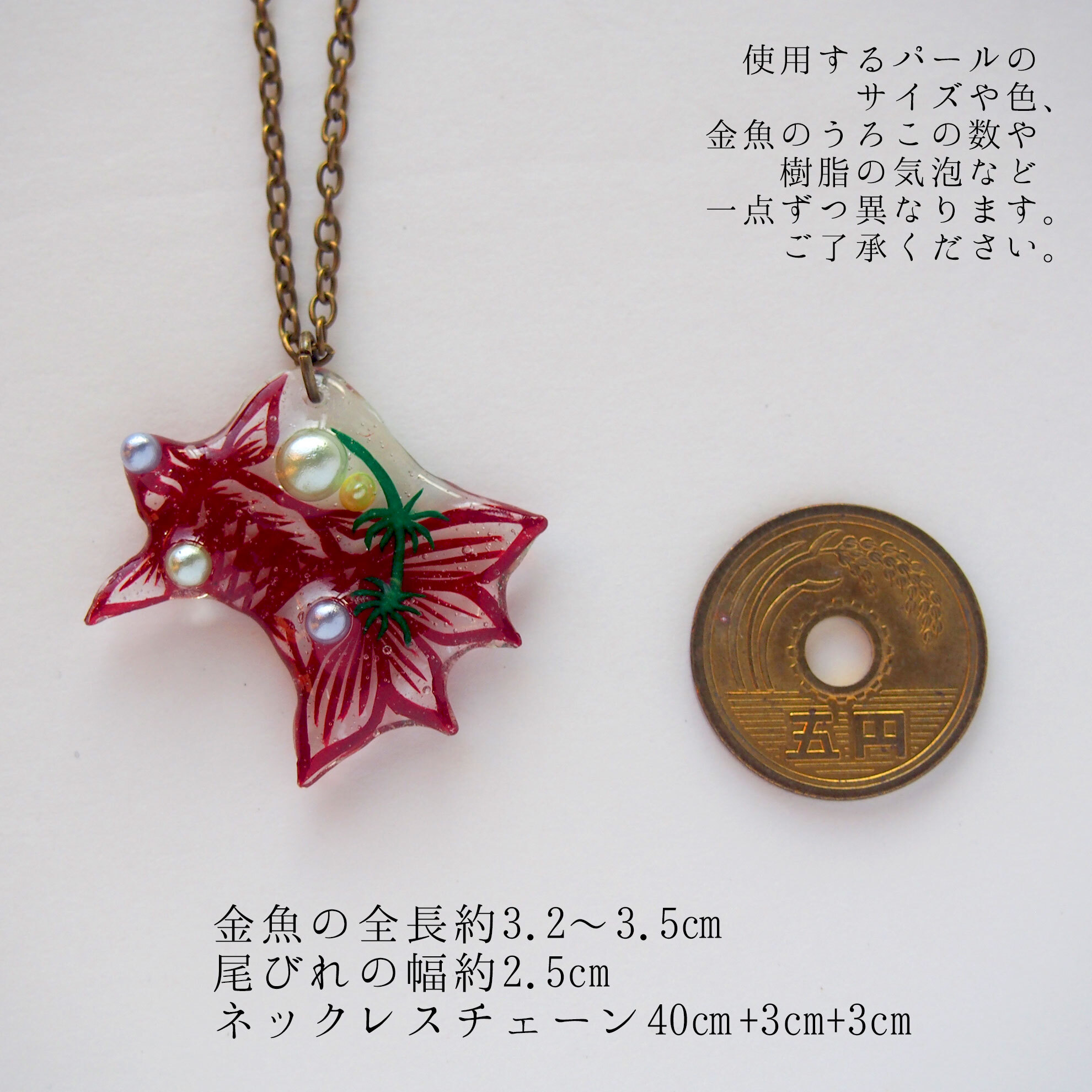 5円玉とのサイズ比較