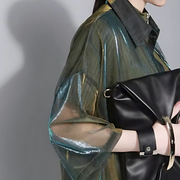 Sheer shimmer shirt【2color】 C0271