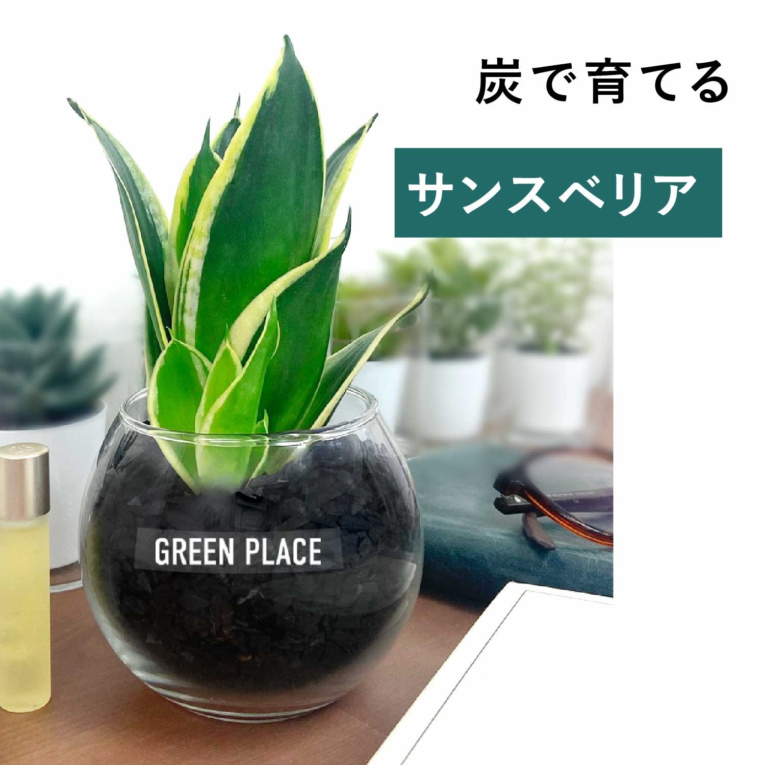 バルーン（丸）型の器