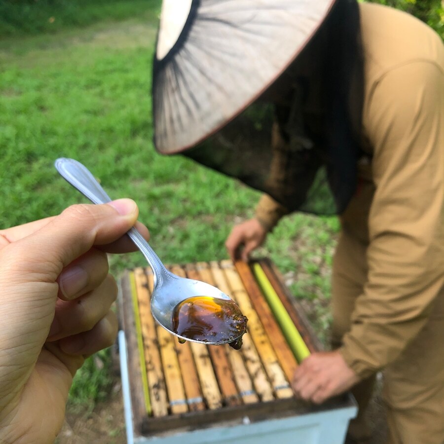 一匹の蜂が一生をかけて集める蜂蜜はスプーン1杯ぶん。希少なはちみつを使わせていただきます。