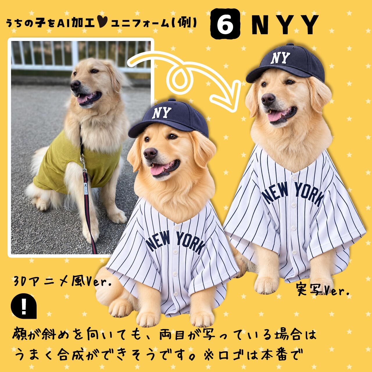 ヤンキースファンのワンちゃん