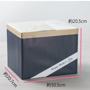 パッケージサイズ