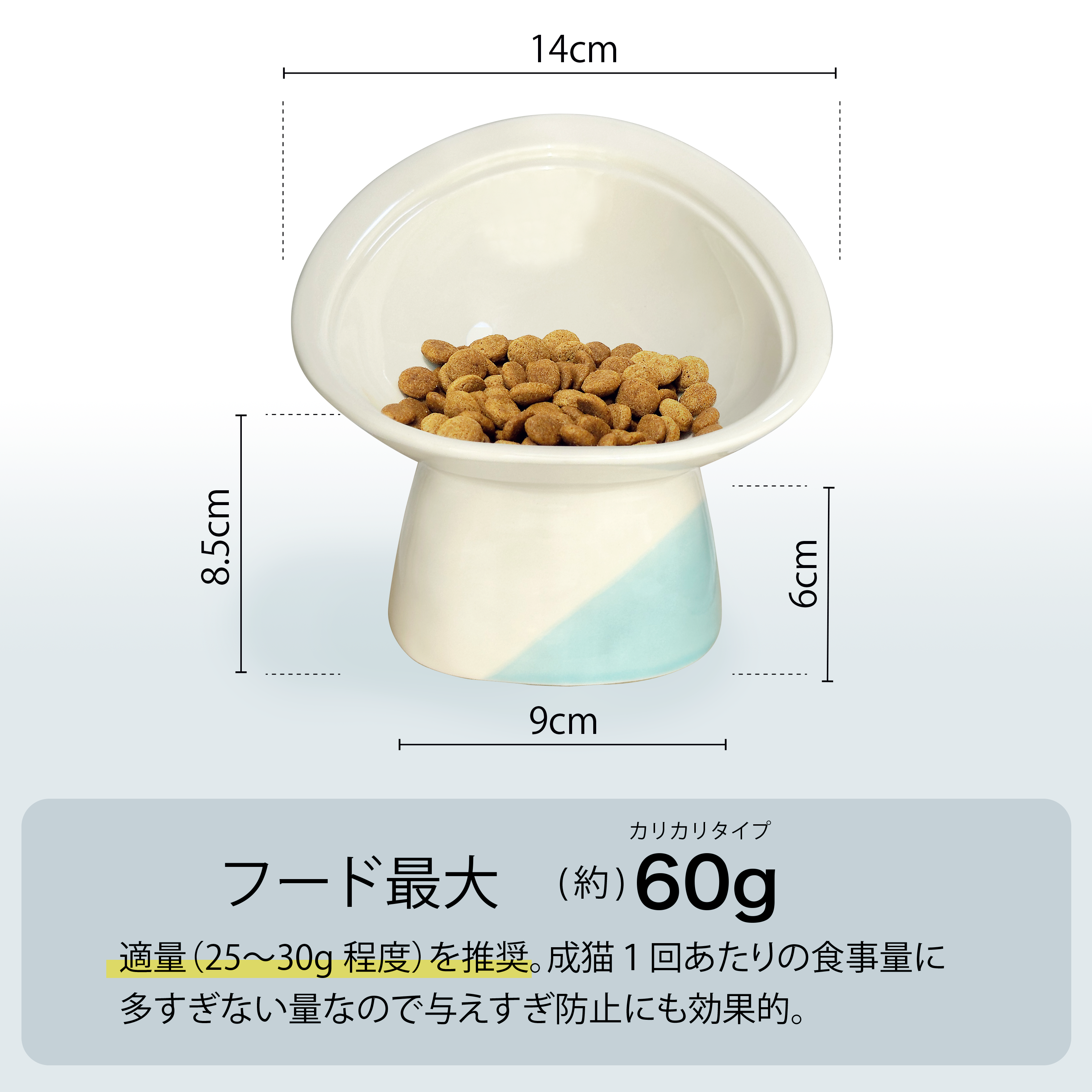 正面