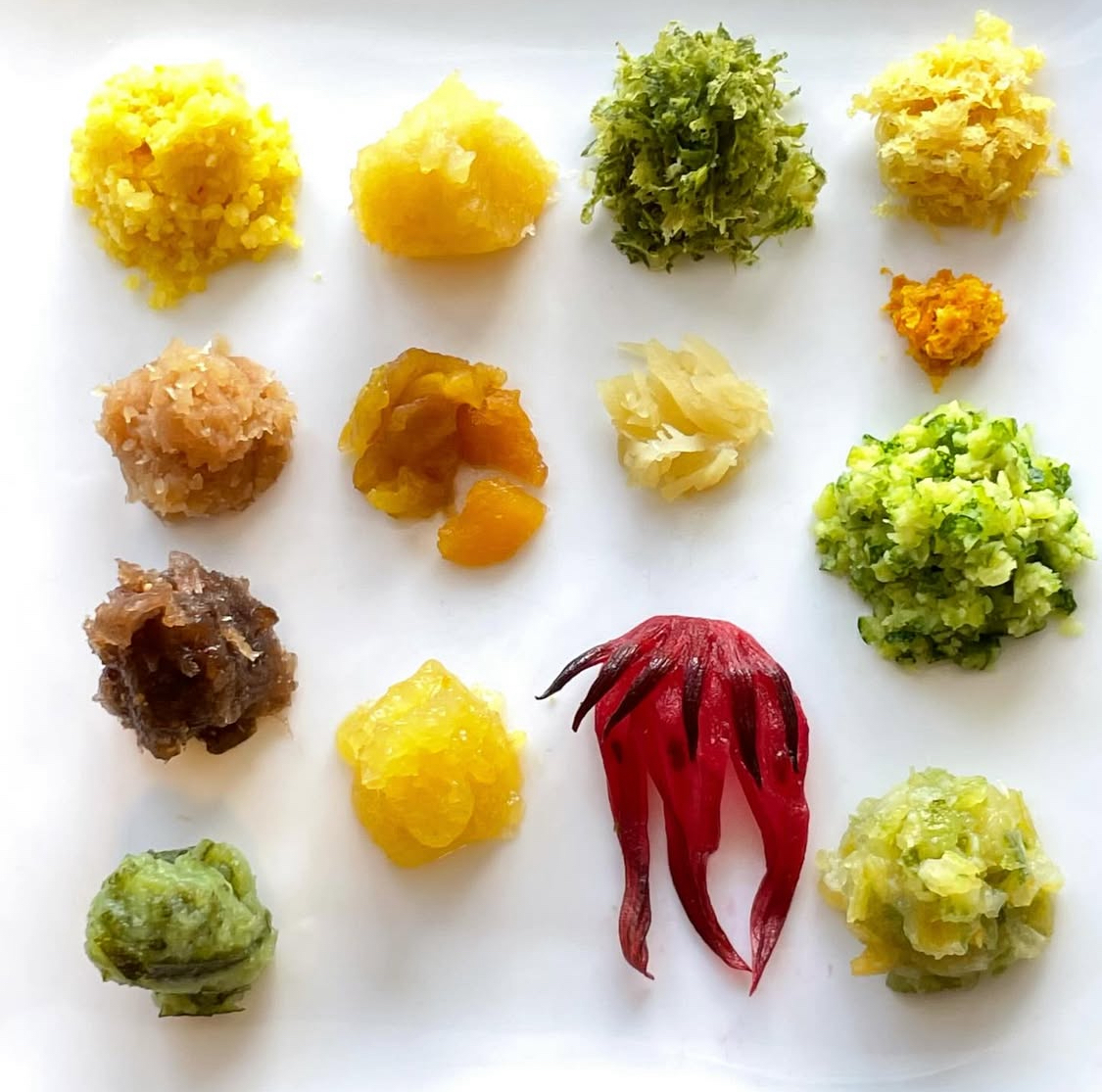 1年がかりでコツコツ収穫した10種以上の果実たち。