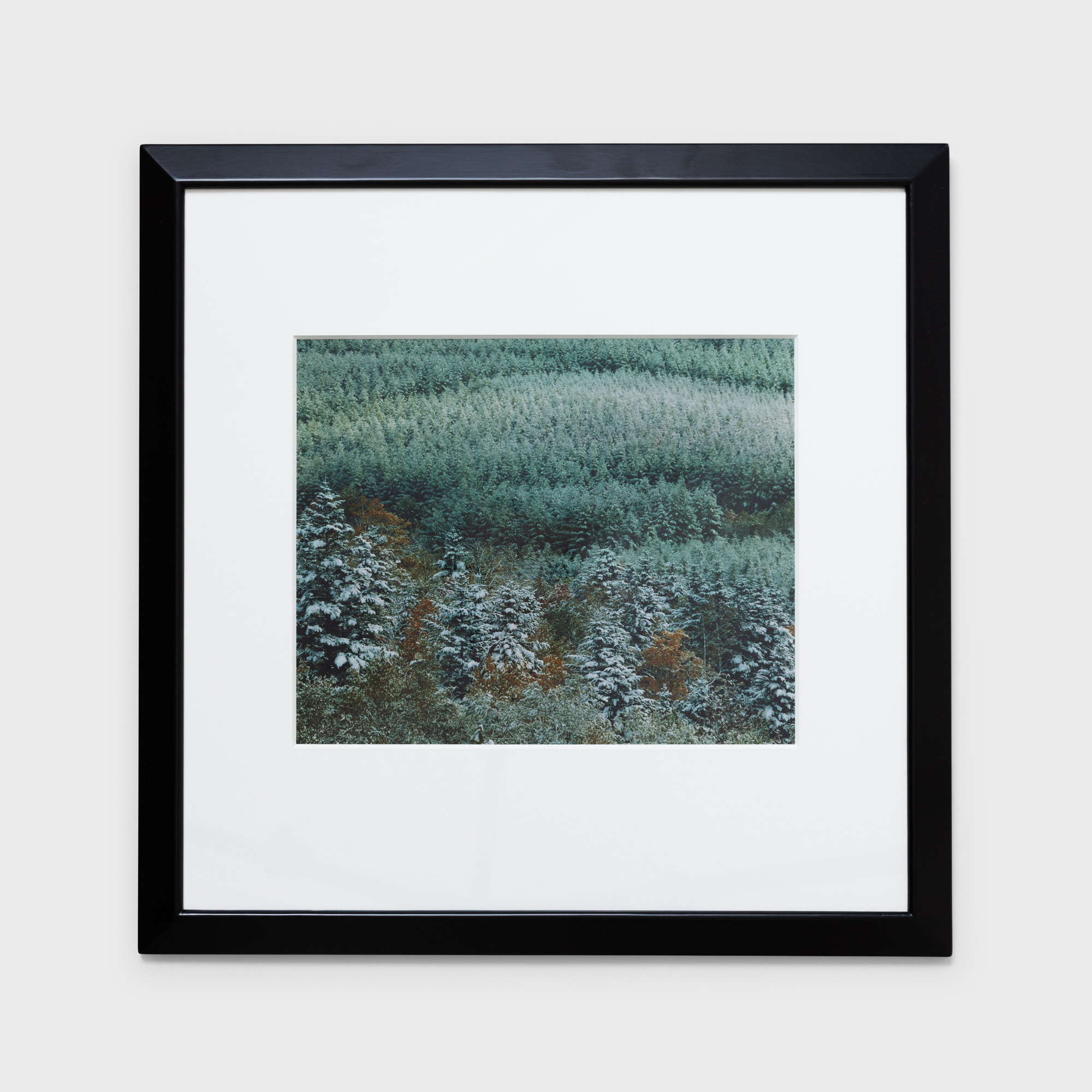 14　新雪粧う　1985年10月20日　美瑛町