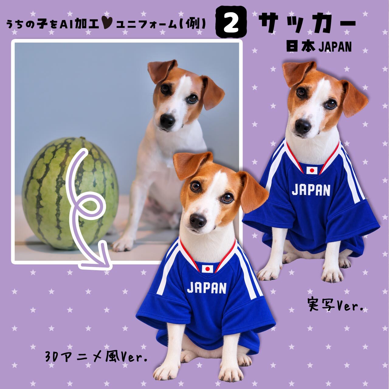 サッカーファン★ワンちゃん