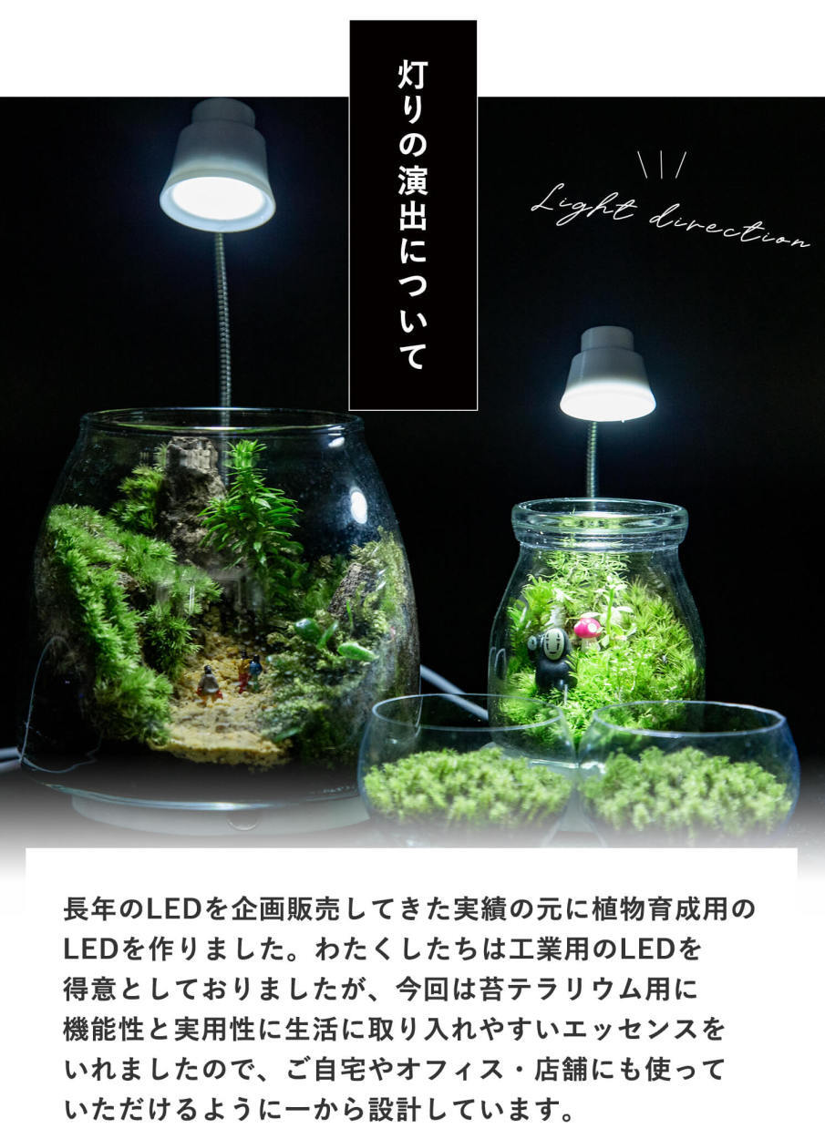 苔テラリウム アクアリウムライト付きボトル L 苔と灯りのお店 3escience 苔テラリウム アクアリウムライト付きボトル L 苔と灯りのお店 3escience