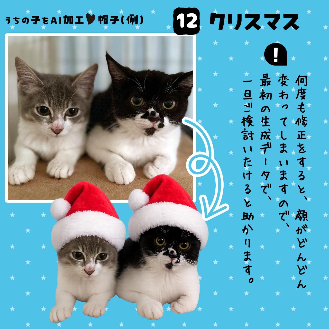 クリスマス帽子★猫さん