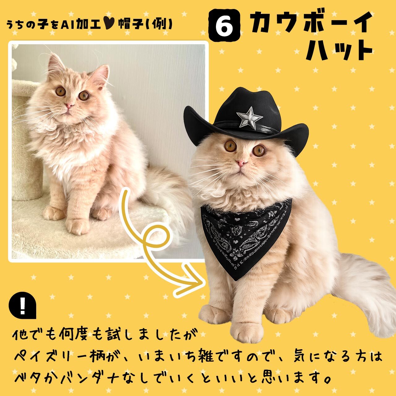 カウボーイハット★猫さん