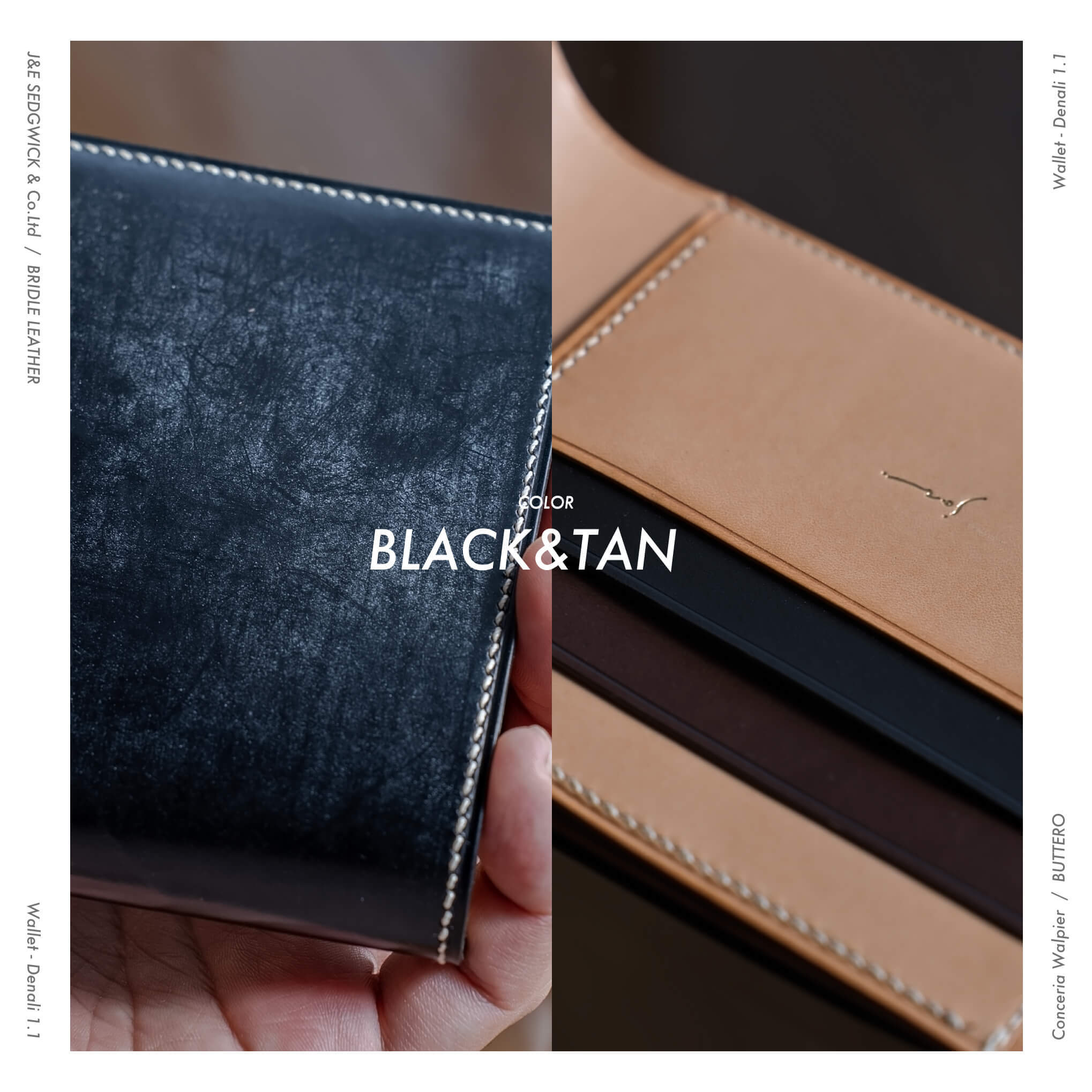 BLACK & TAN  |  ブラック & タン
