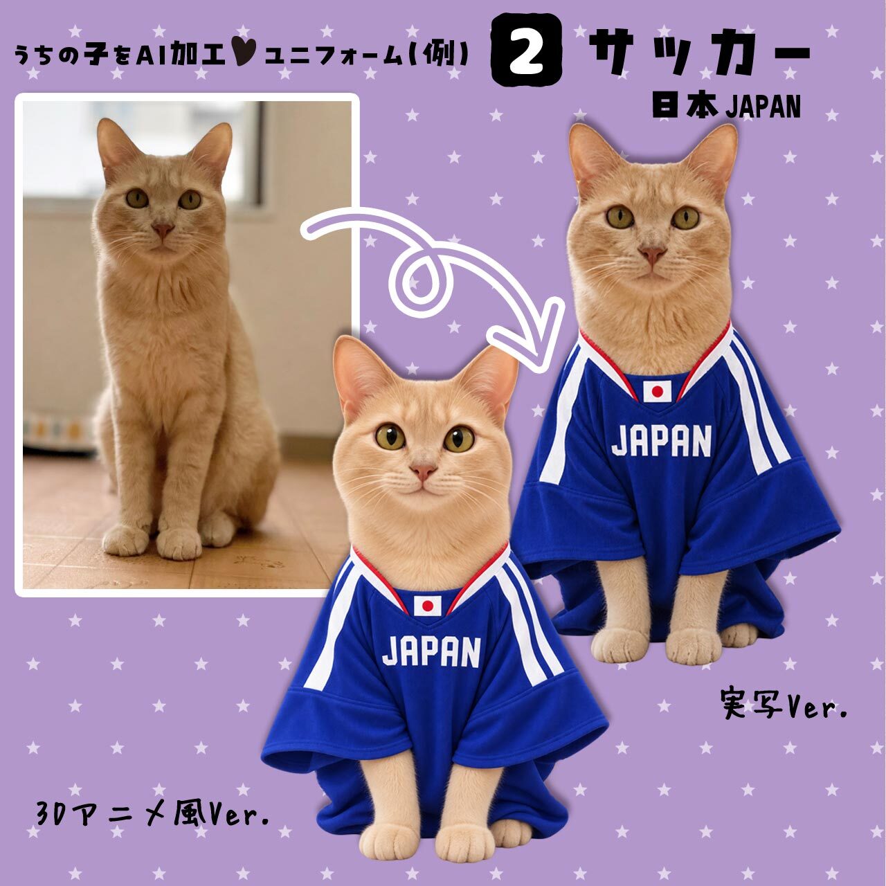 サッカーファンの★猫さん