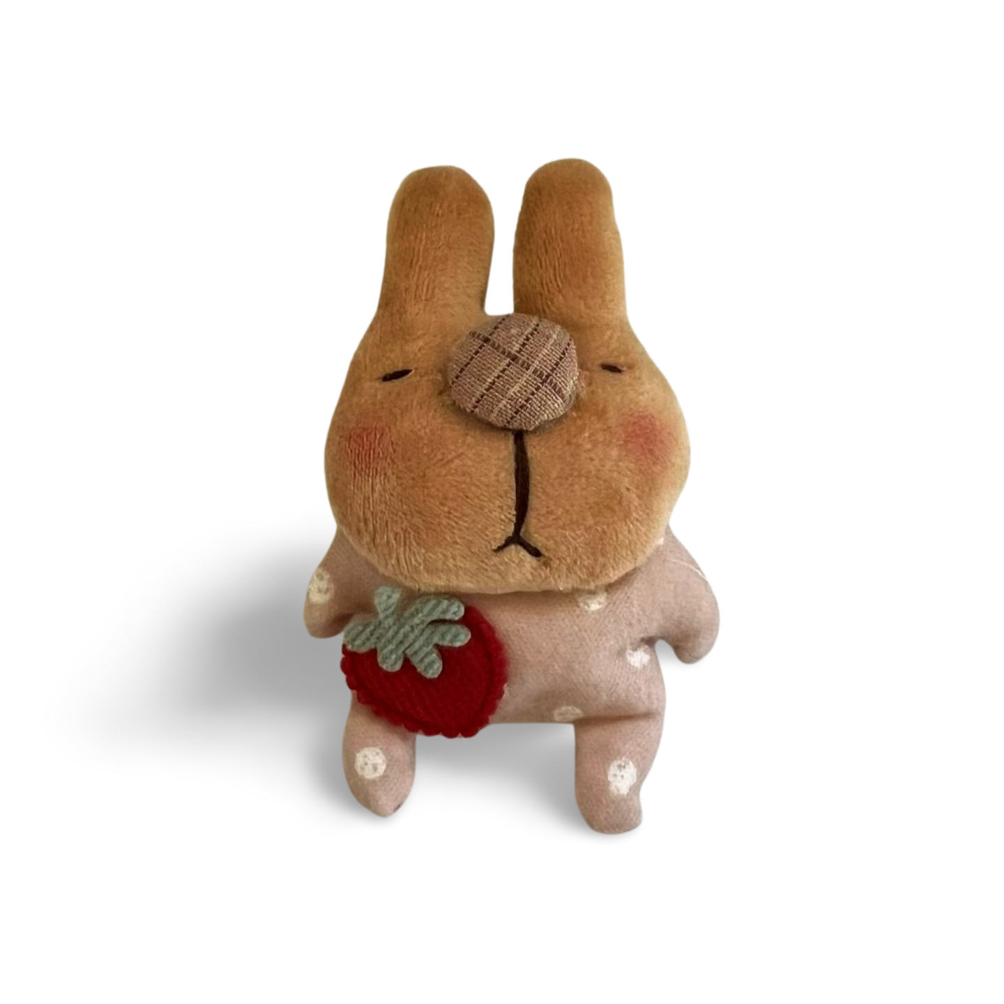 赤いいちご（正面）