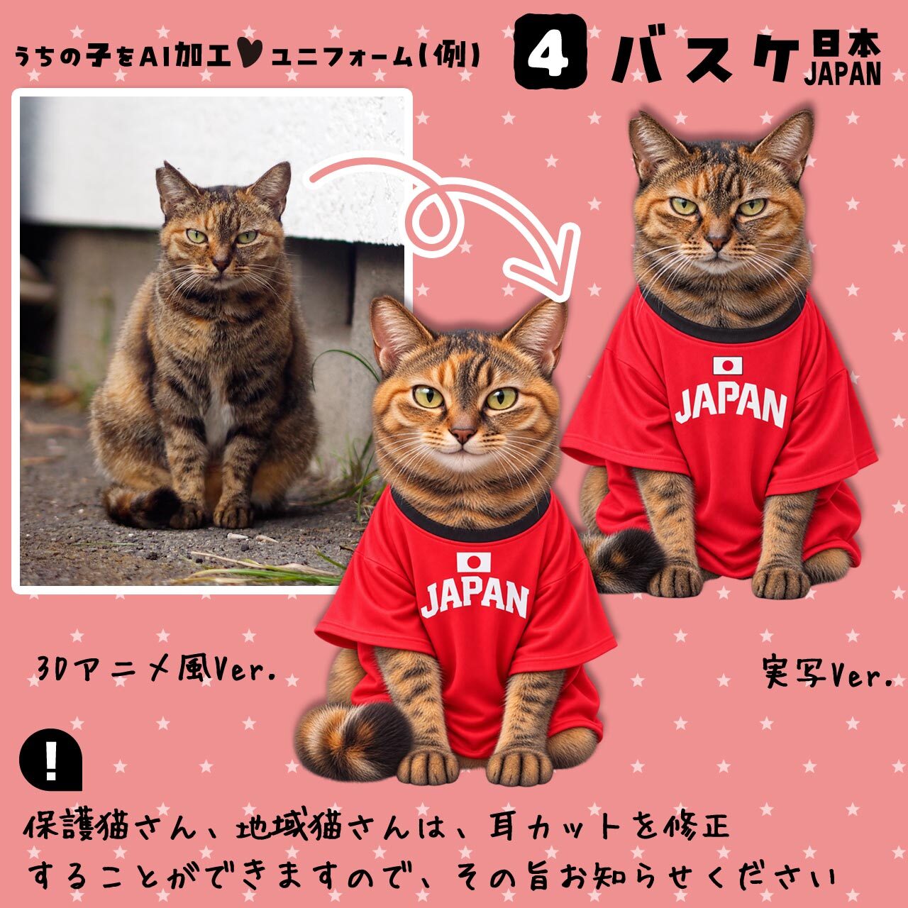 バスケファンの猫さん