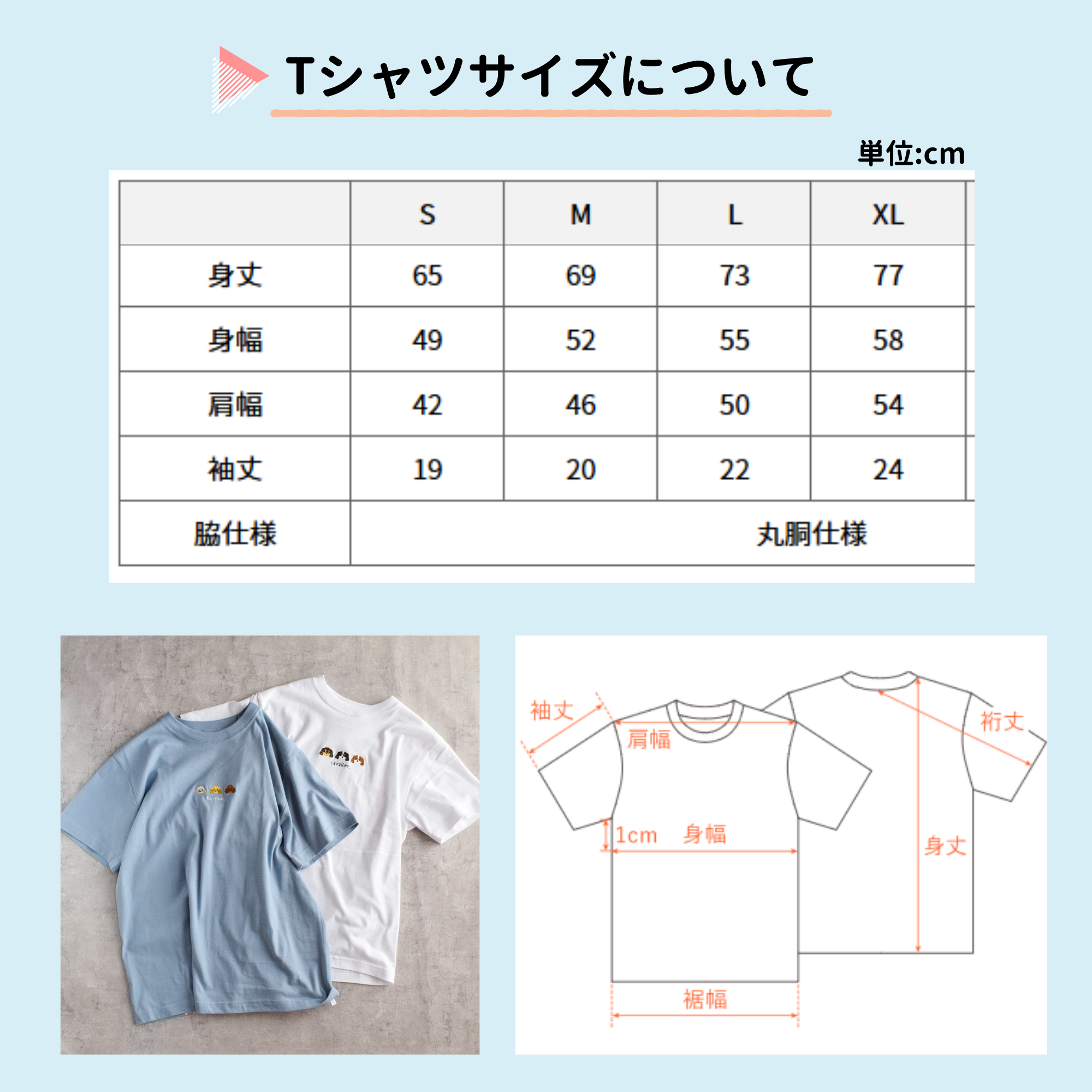 S~XL