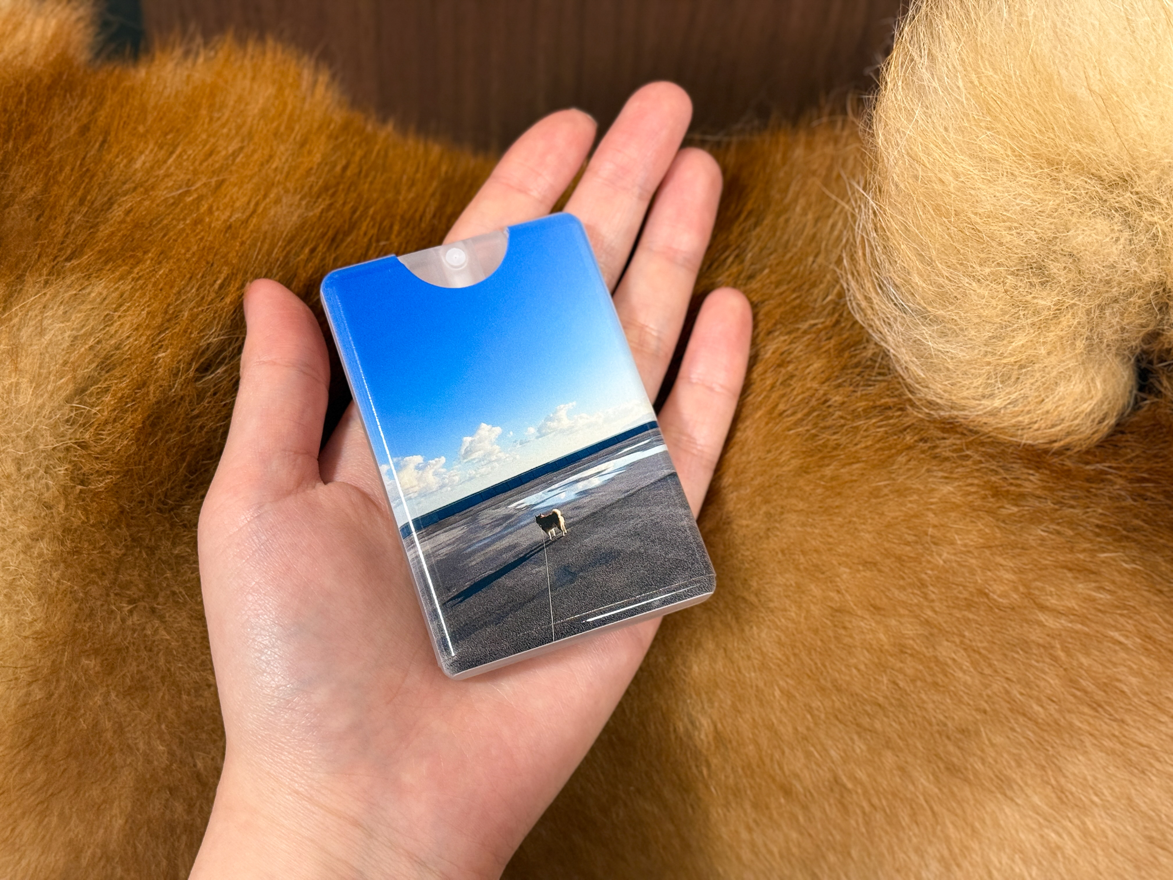 スプレーボトル実物とらんまる