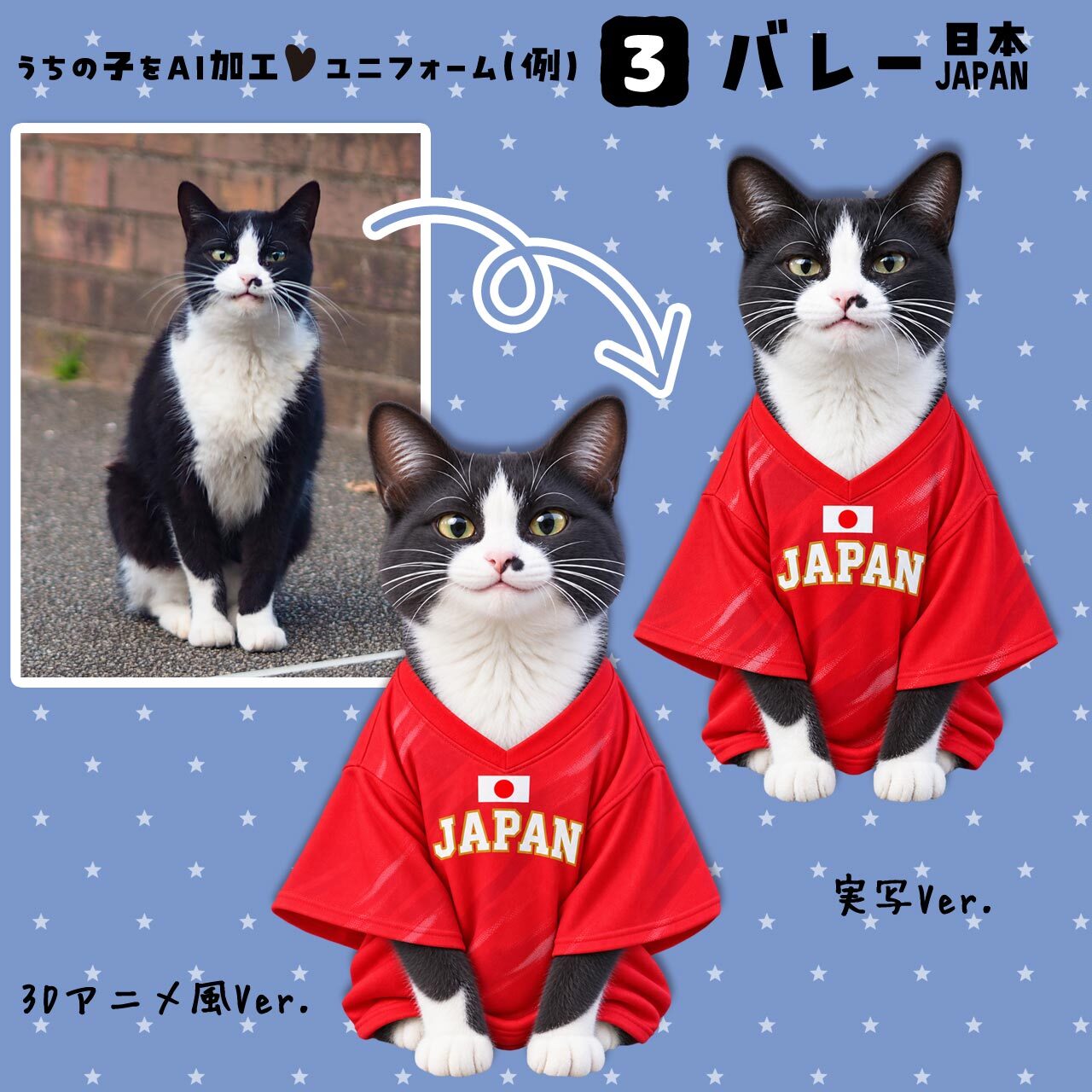 バレーファンの猫さん