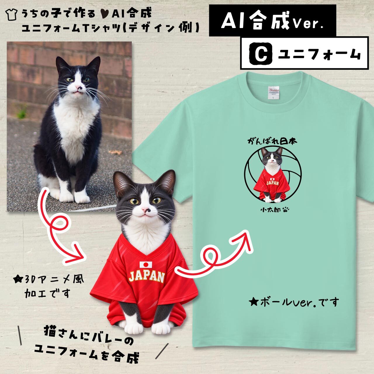 バレーファンの猫さん