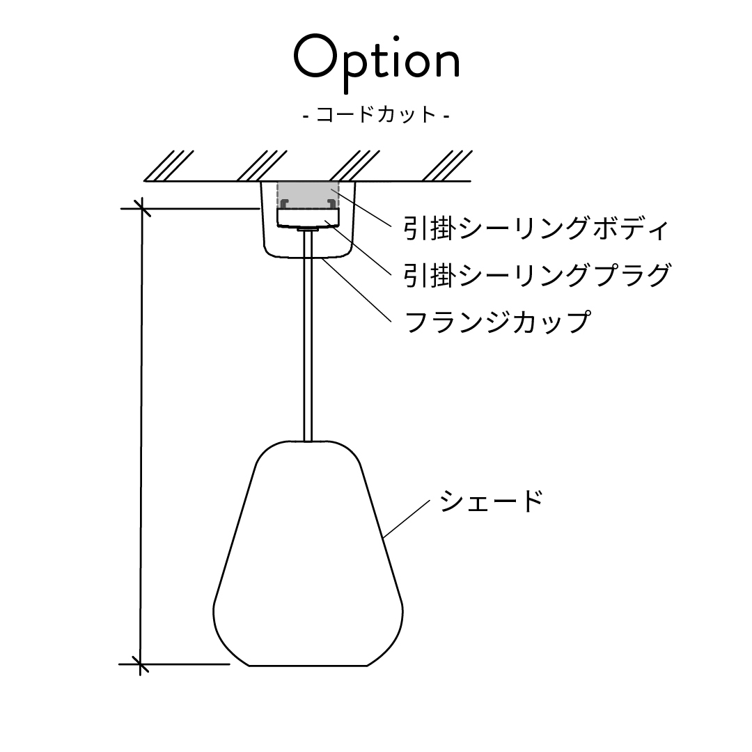 ※ 製品情報をご確認ください。