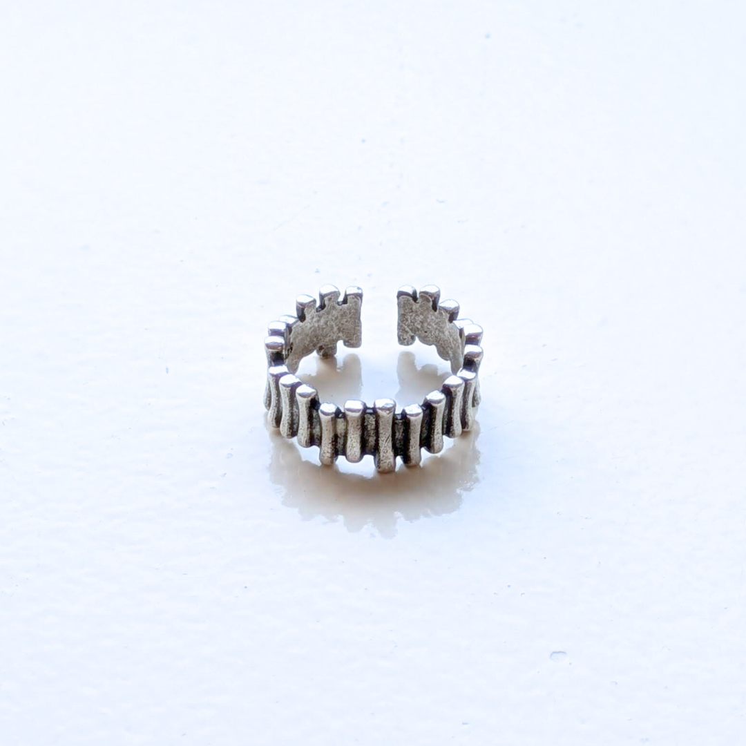 ring BT 2,300-