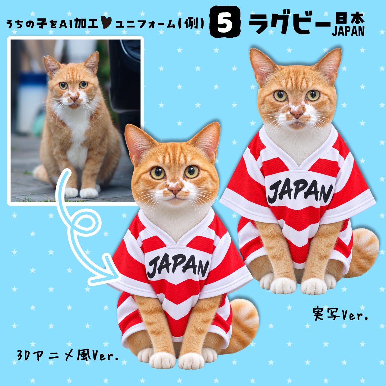 ラグビーファンの猫さん