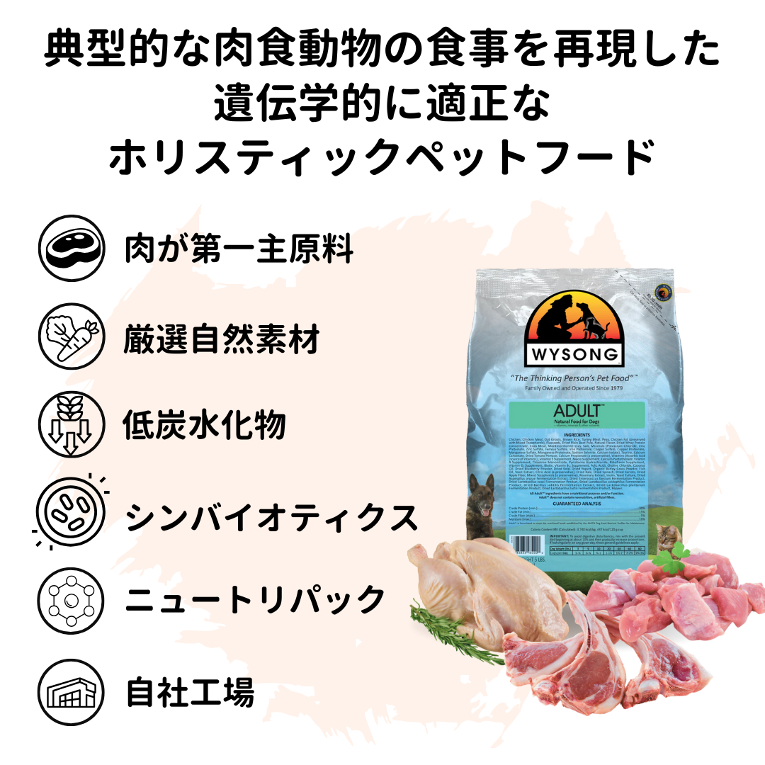 ワイソン フェレット アーキタイパル2 500g [WD046] 賞味期限