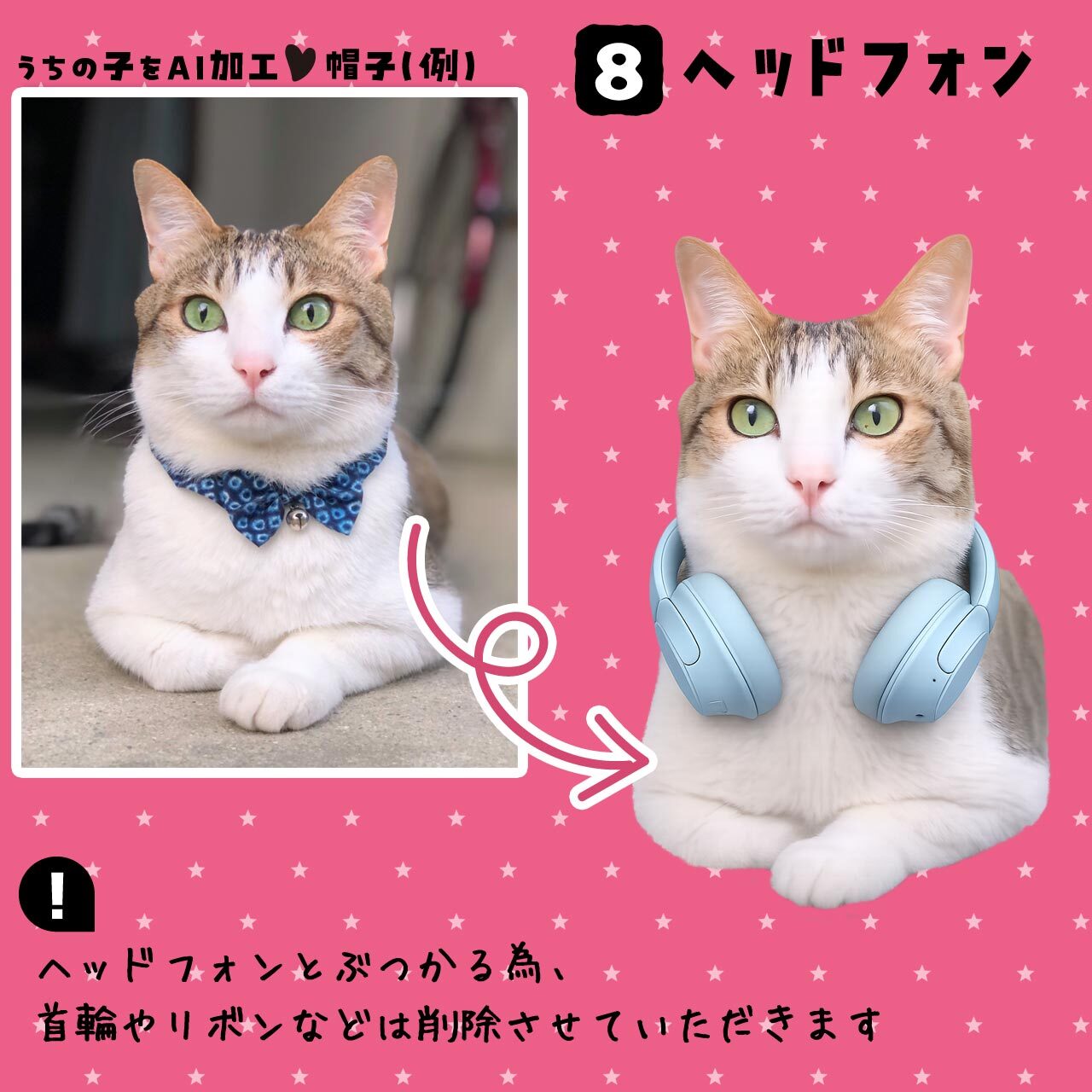 ヘットフォン★猫さん