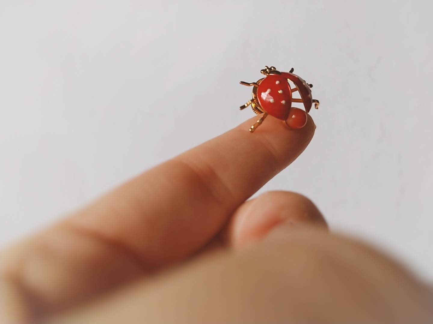 真っ赤な珊瑚のブローチ てんとう虫 Gocochi ゴコチ 珊瑚 海生まれ お守り代わりのアクセサリー