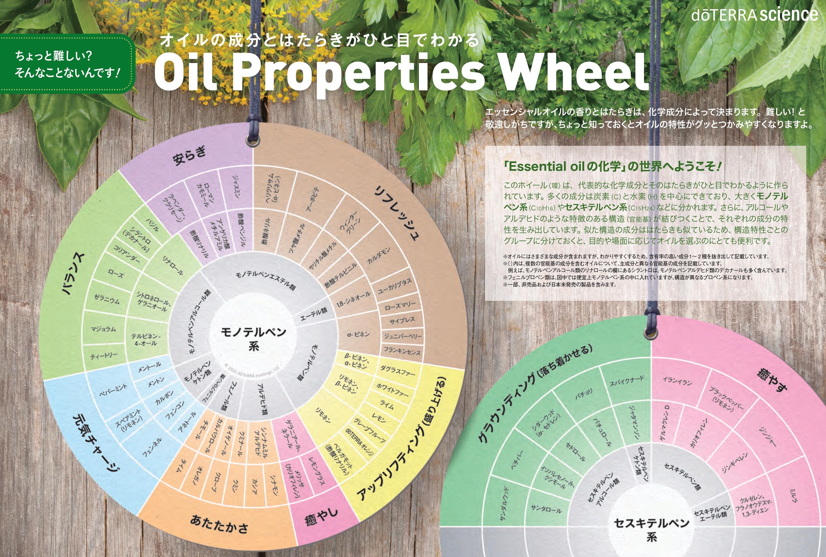 ライム15ml 100 天然 メーカー直送 新鮮で本物 Doterra 飲めるエッセンシャルオイル Super Sedona