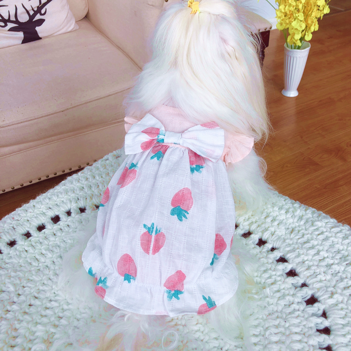 いちごのバブルワンピース Cola Chica お嬢様のしっぽ