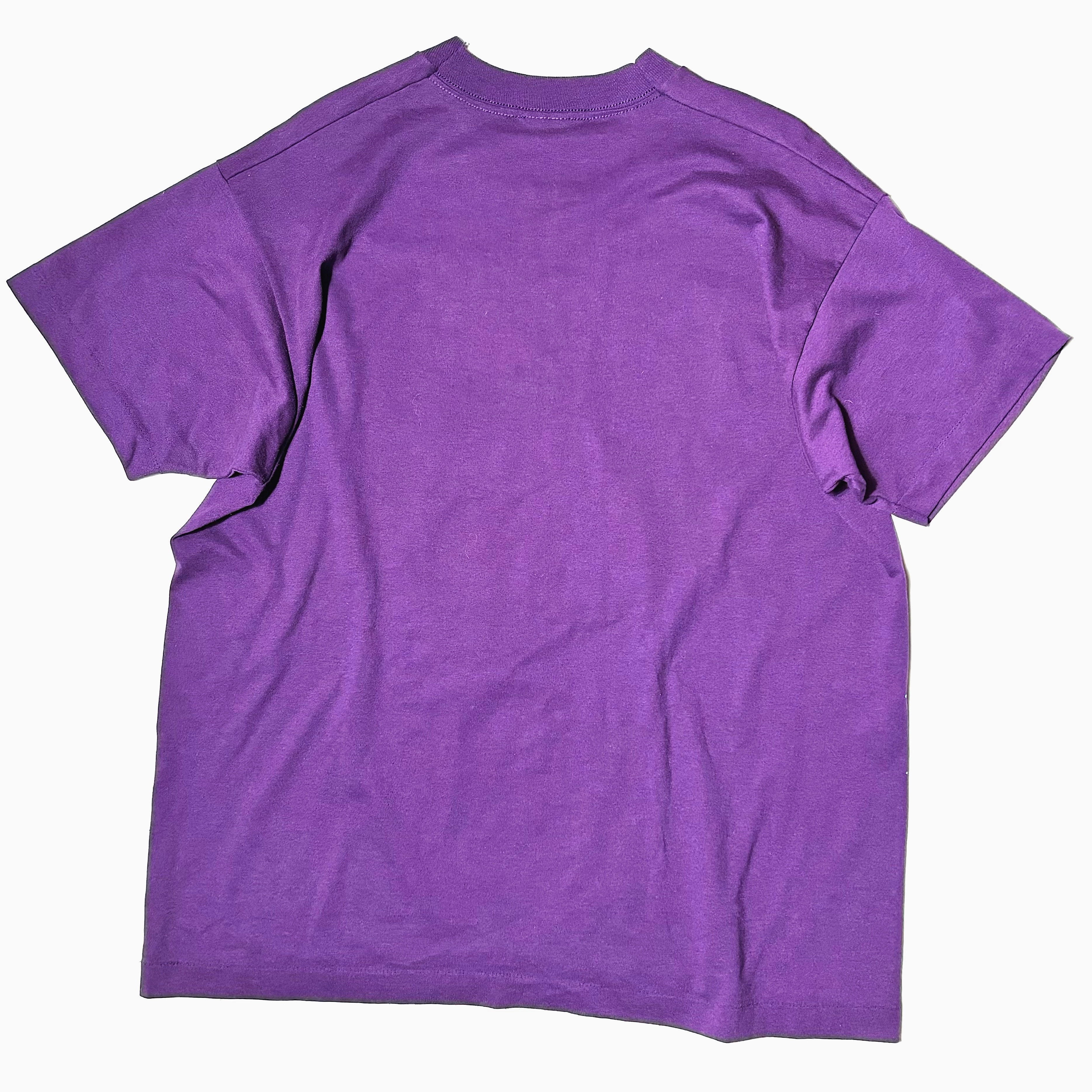Vintage 90's【SCREEN STARS】"Fish" T-shirt の画像 2