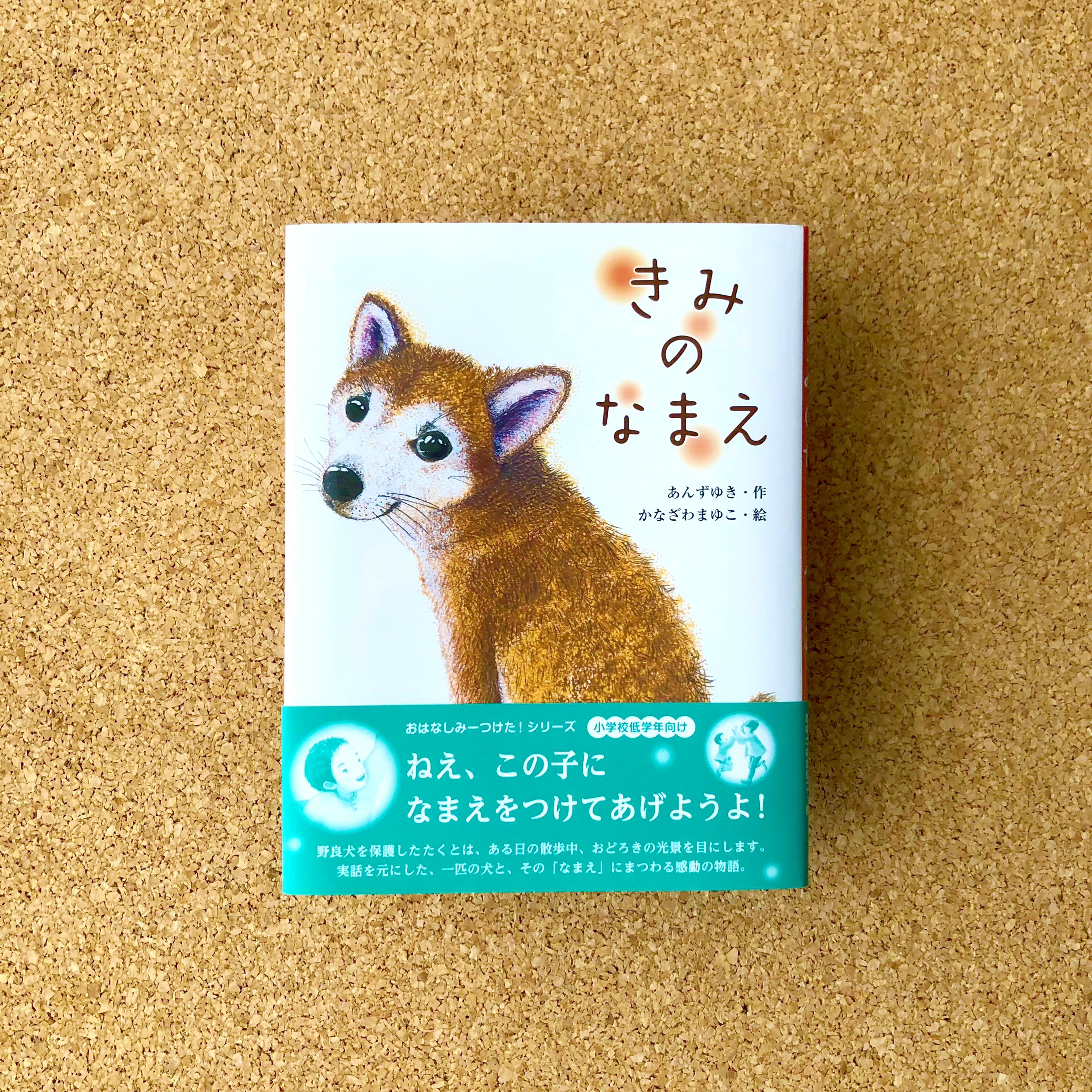 新刊 絵本 きみのなまえ 保護犬の命を守る 佼成出版社 ぼくぱぐ工房
