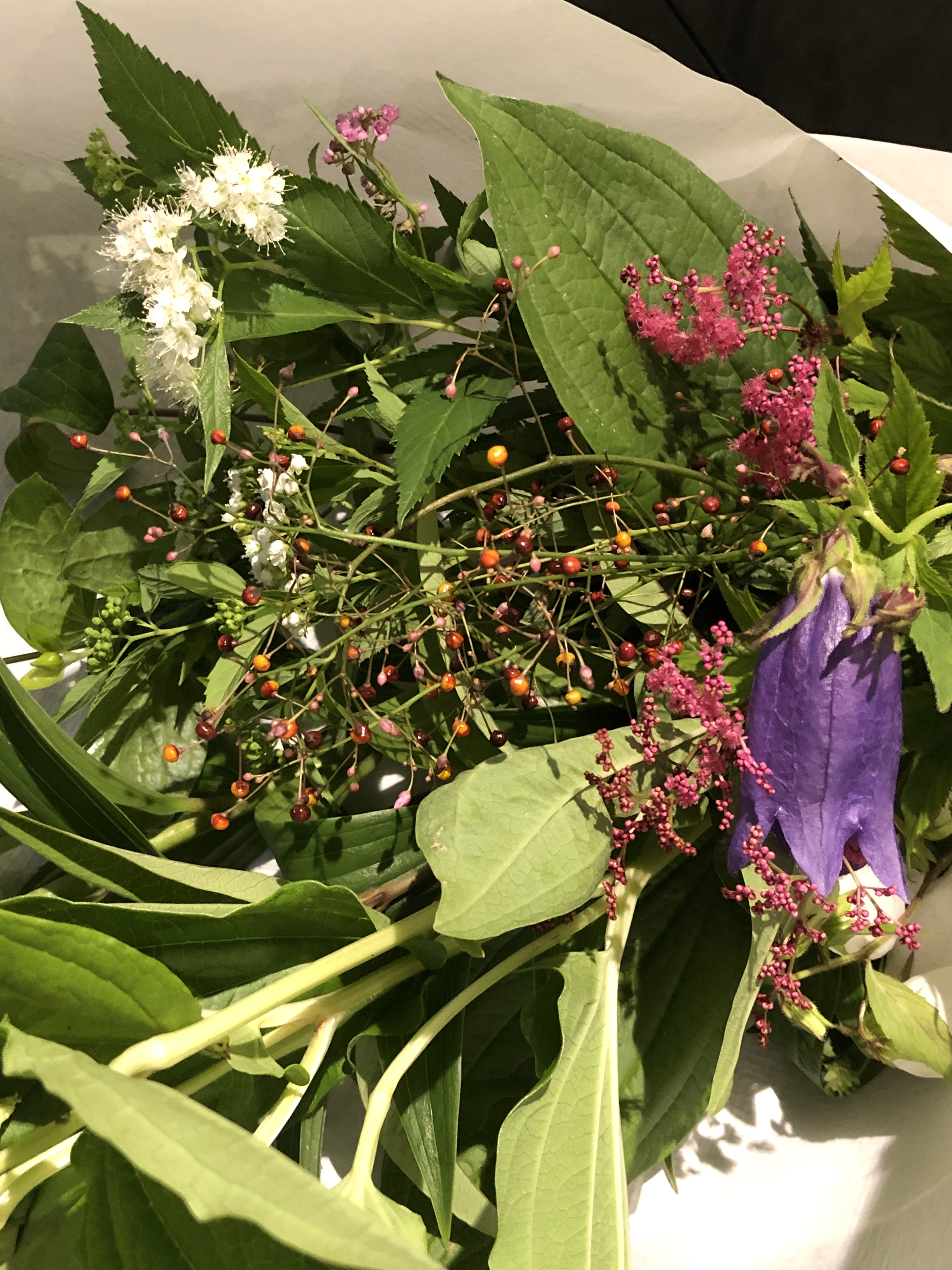 京の和花便り・ 風
