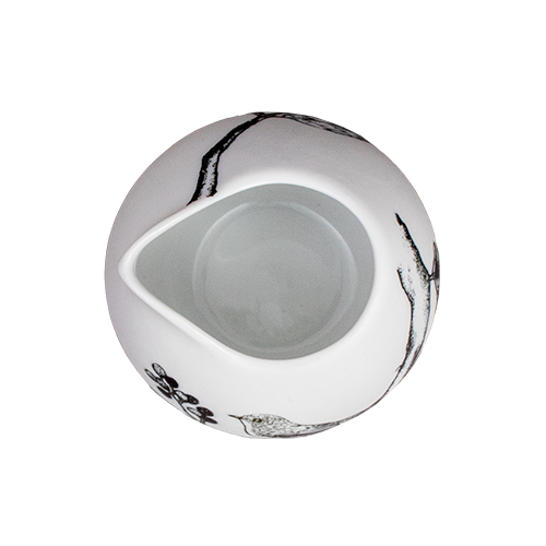 Kissaco キッサコ ルリビタキ 7 Project