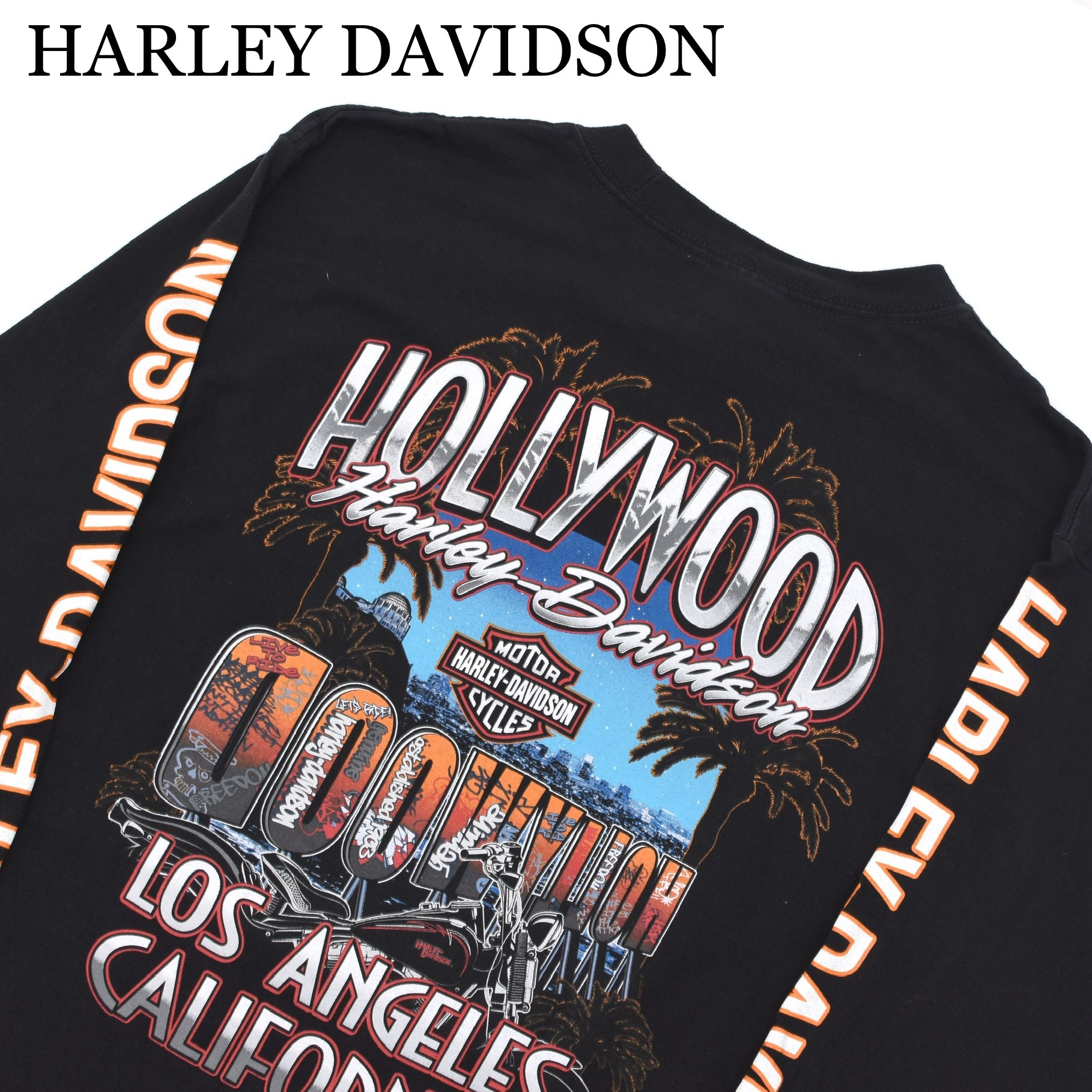 Harley Davidson T Shirt ハーレーダビッドソン ロンt 古着屋 Grin Days Memory
