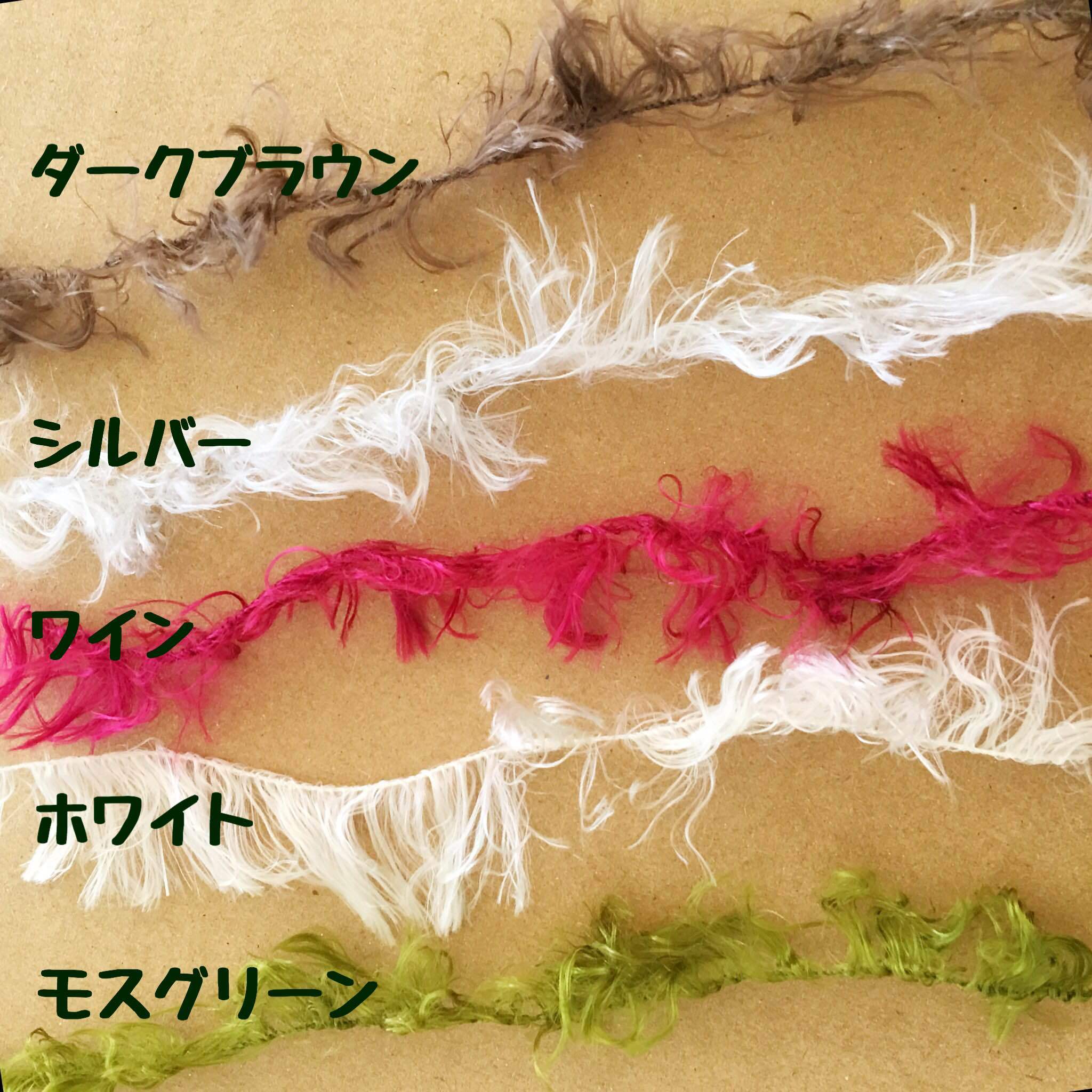 ギャザリング水苔3種&ベラボンサキュレント2袋 セット - 画像3