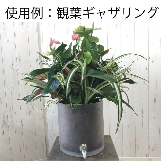 水やり簡単蛇口付き観葉ギャザリングに【ストレスレスポット】小18×18 - 画像4