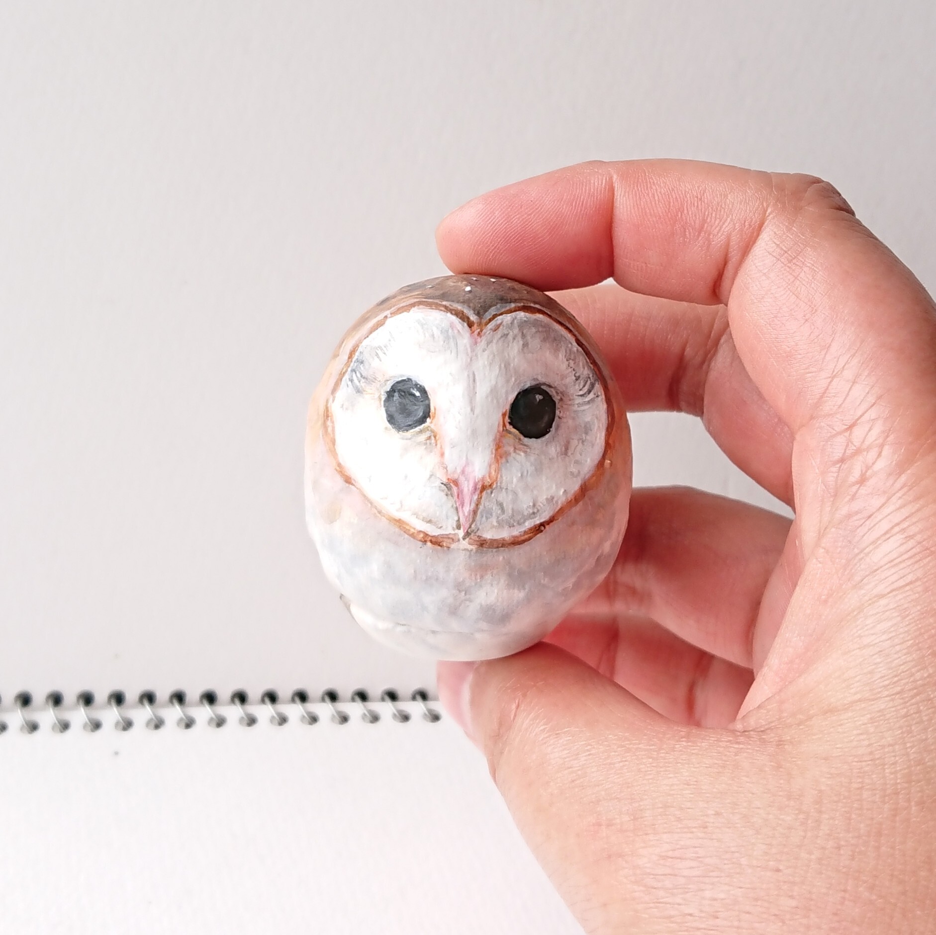 フクロウだるま メンフクロウ たぬき倶楽部 フクロウだるま メンフクロウ たぬき倶楽部