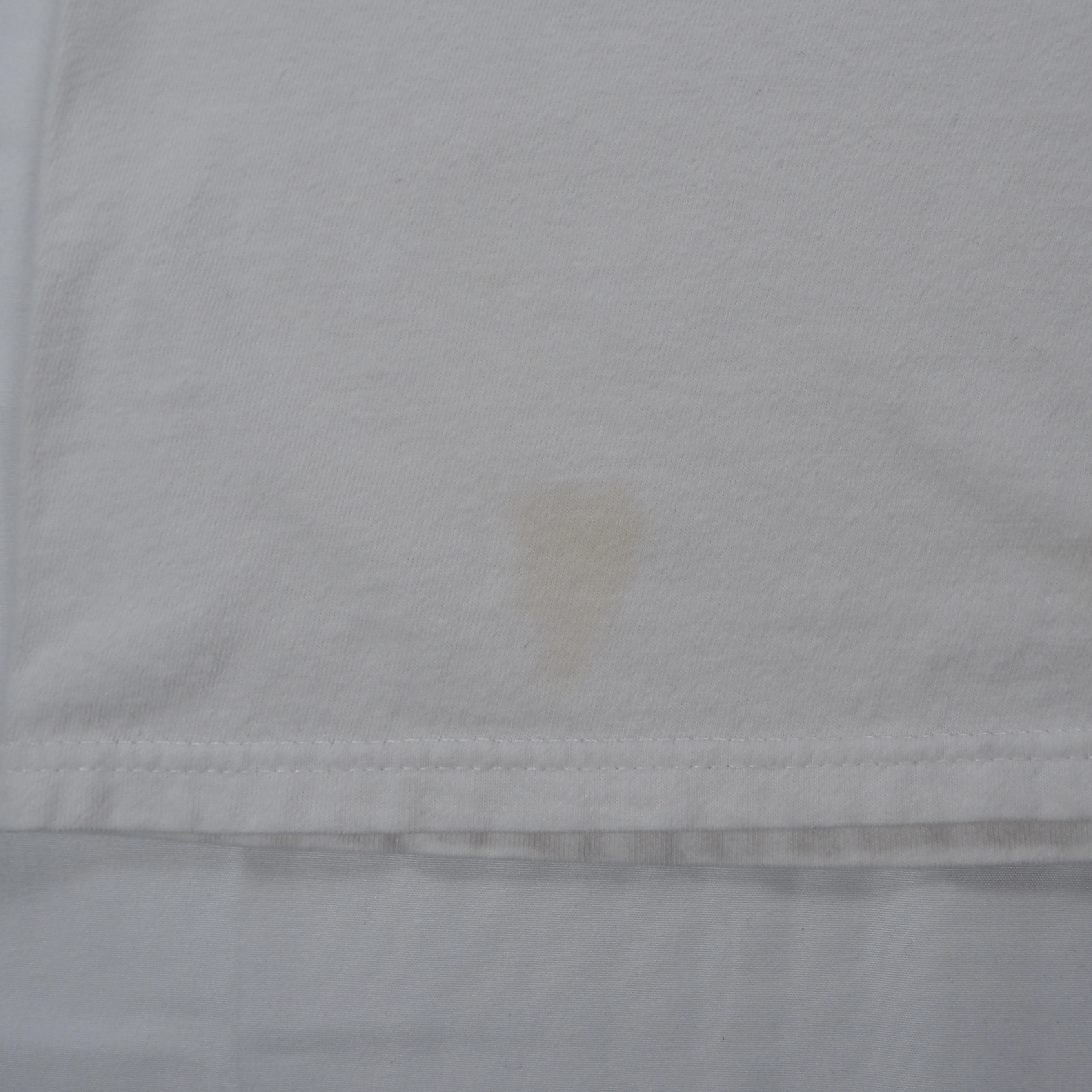 90’s Hanes サーベルタイガーTシャツ XL の画像 11