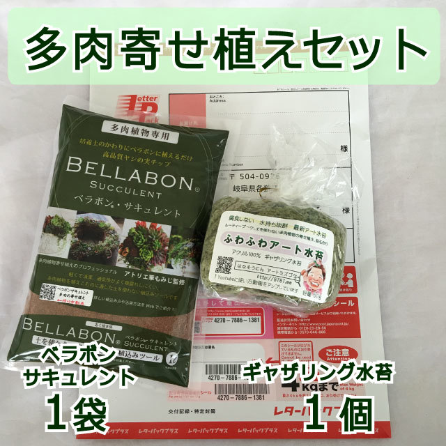 ギャザリング水苔1個&ベラボンサキュレント1袋 セット - 画像1
