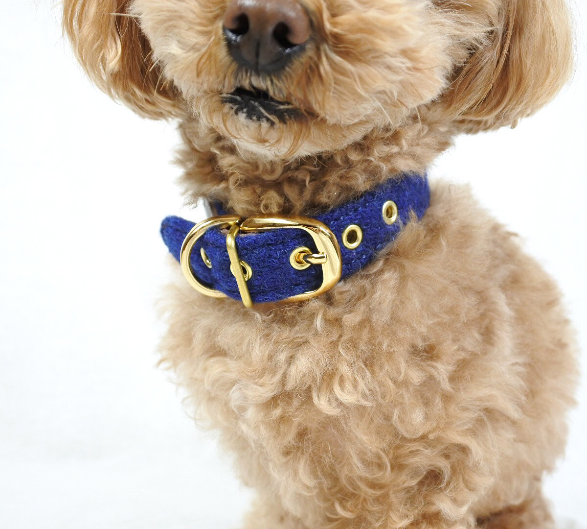 おしゃれな犬の首輪 Tweed Gold Blue 小型犬用 Ohanadog おしゃれな犬の首輪 Tweed Gold Blue 小型犬用 Ohanadog